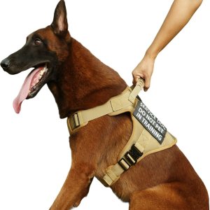 Arnés táctico para perro, 2 correas ligeras con hebilla de metal resistente para perros medianos y extragrandes con 6 parches para perros, arnés Arnés táctico para perro, 2 correas ligeras con hebilla de metal resistente para perros medianos y extragrandes con 6 parches para perros, arnés