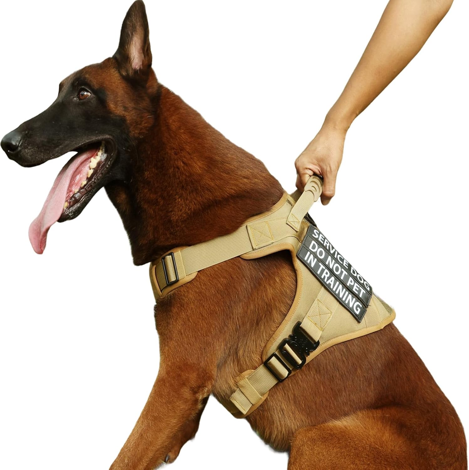 Arnés táctico para perro, 2 correas ligeras con hebilla de metal resistente para perros medianos y extragrandes con 6 parches para perros, arnés