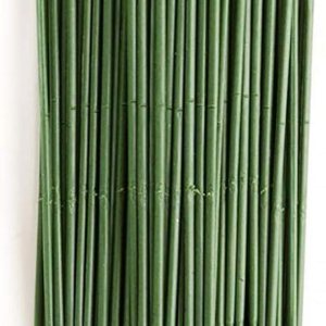 100 piezas de tallo floral de plástico, varilla de flores artificiales, alambre de flores verdes, ideal para la persona de manualidades, 6.7 in y 100 piezas de tallo floral de plástico, varilla de flores artificiales, alambre de flores verdes, ideal para la persona de manualidades, 6.7 in y