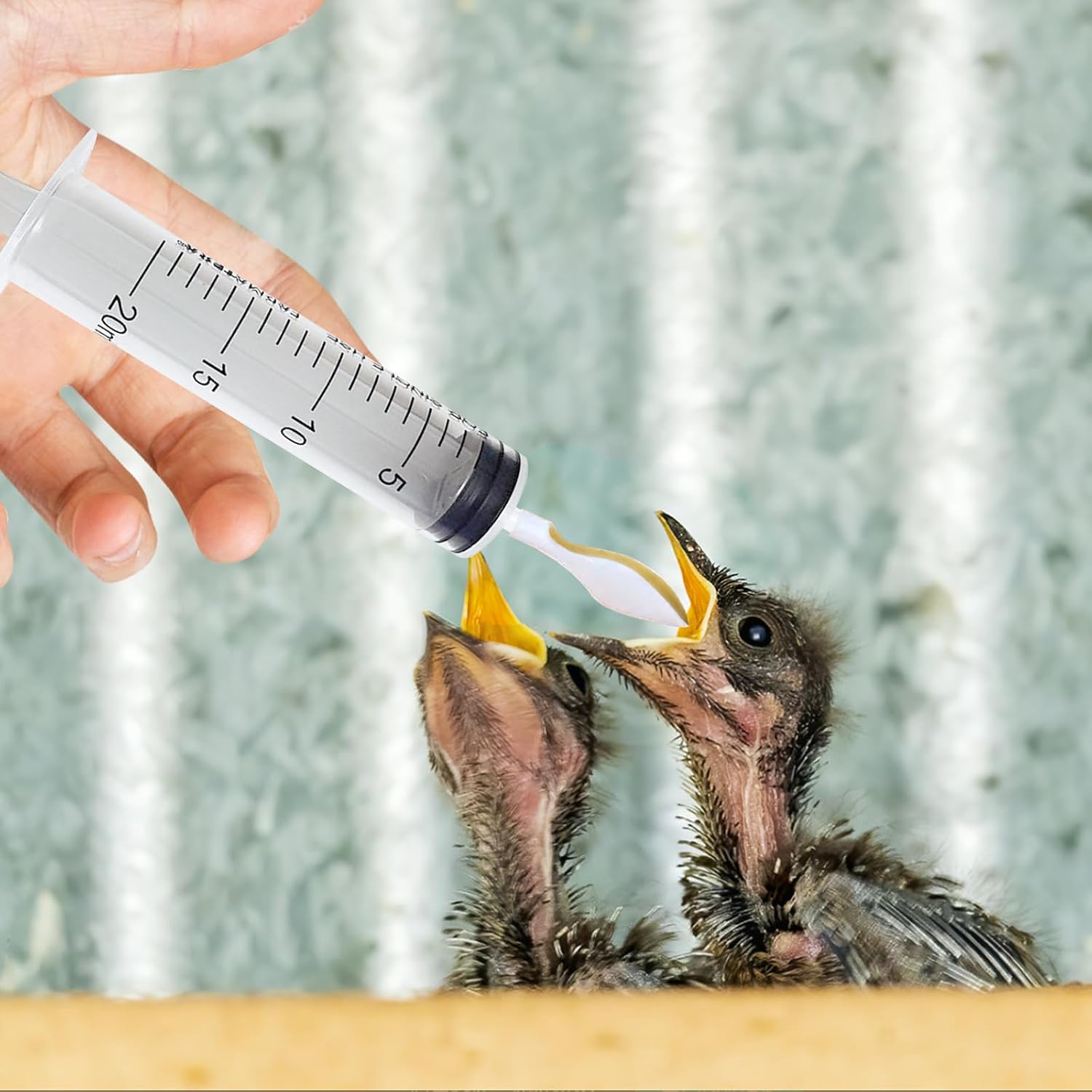 4 jeringas de alimentación para pájaros con 2 jeringas de 0.7 fl oz, 2 jeringas de 2.1 onzas líquidas y 4 cucharas de alimentación suaves,
