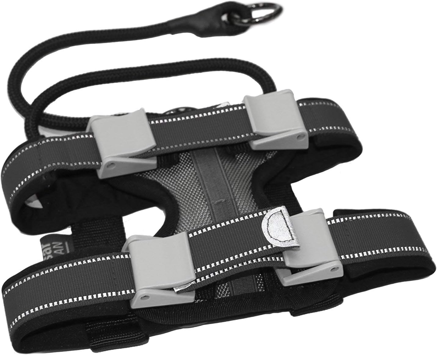 Cesar Millan Pack Leader Collar – Collar de entrenamiento del perro susurrador (pequeño, gris)