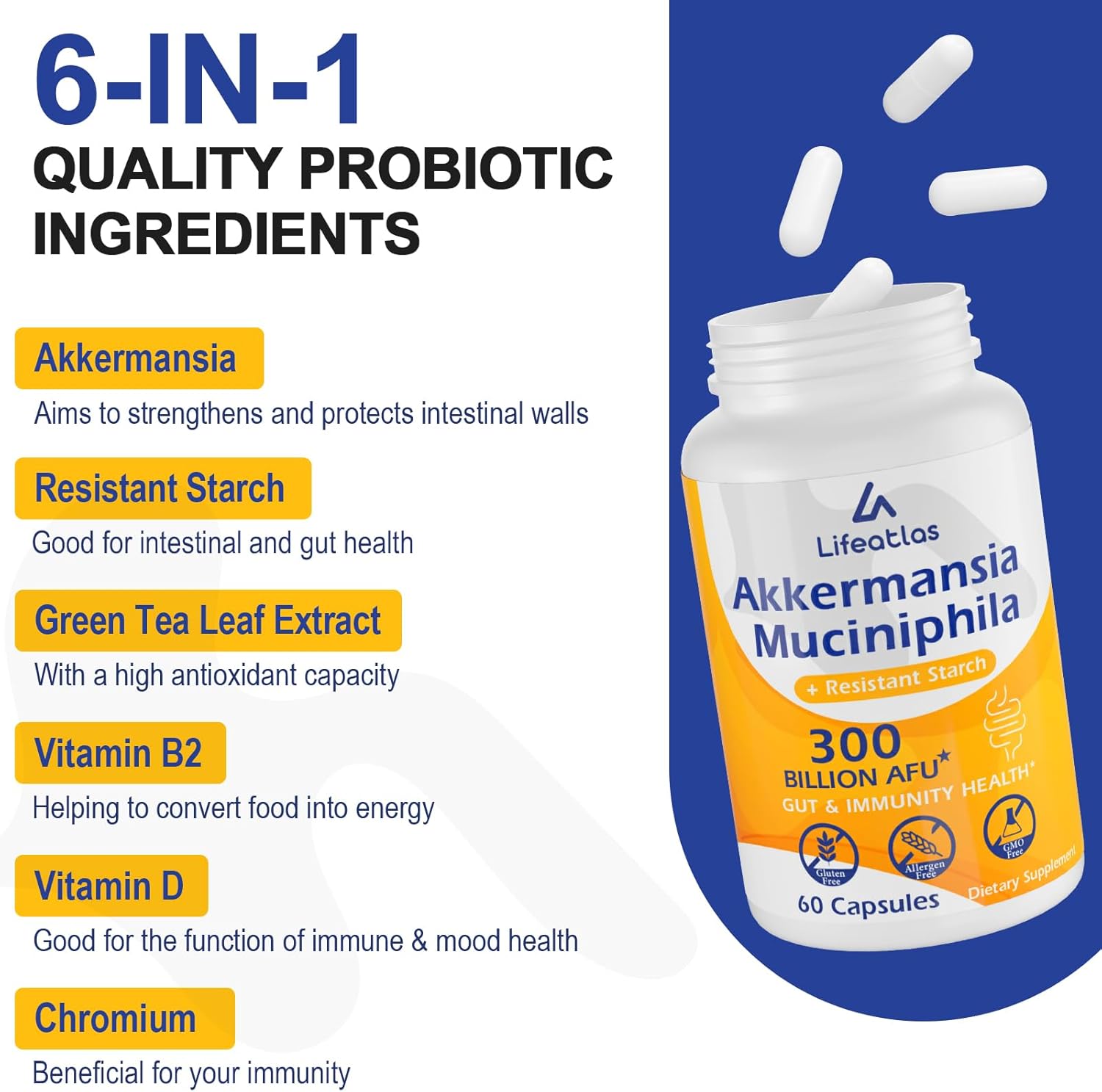 300 mil millones de AFU Akkermansia Muciniphila – Probióticos Akkermansia vivos para mujeres y hombres, para GLP-1, digestivo, intestino, inmune y