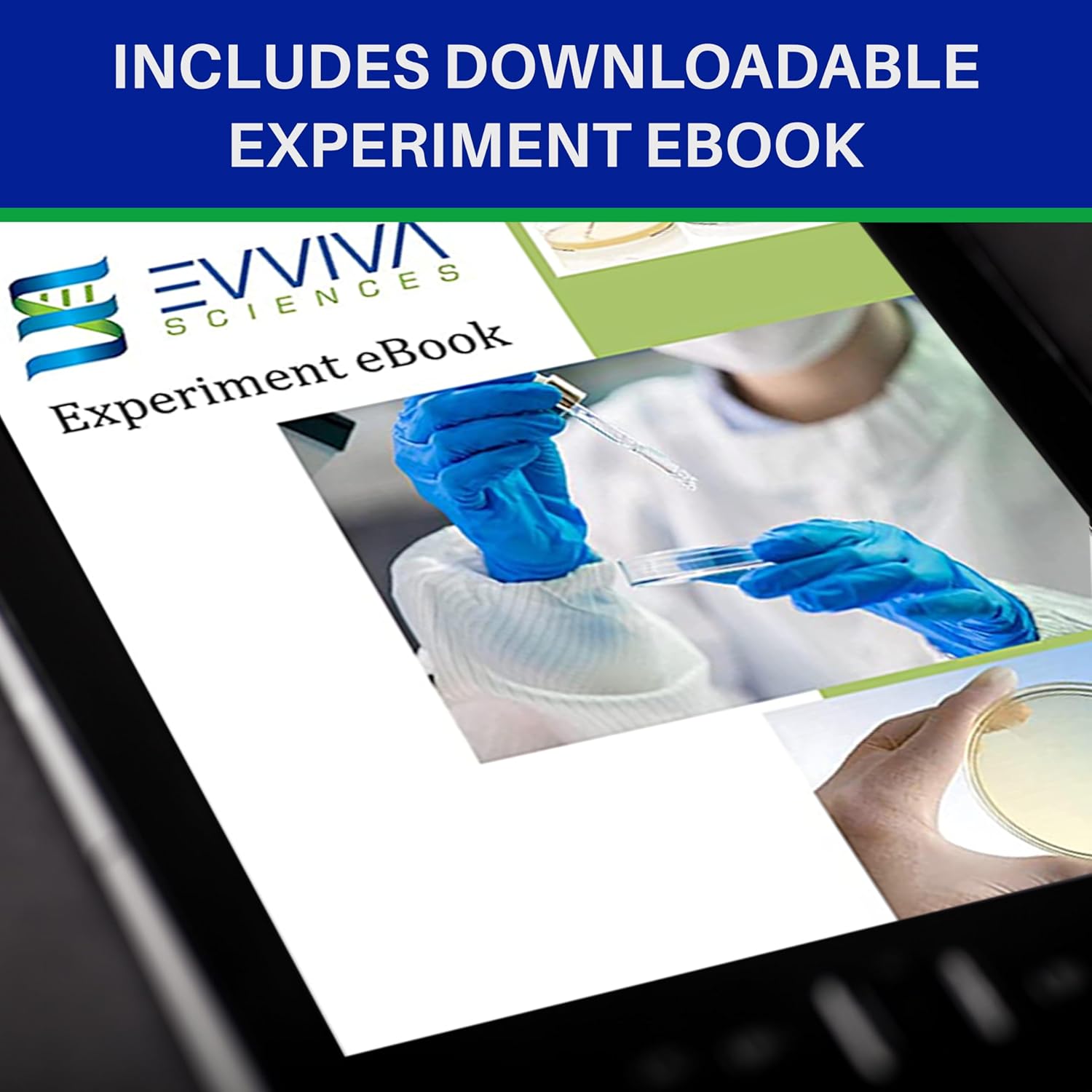 Evviva Sciences – Kit de proyecto científico de placas de agar nutriente de Petri, placas de agar previamente vertidas para experimentos