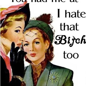 You had me at I Hate That Bitch Too – Imán de nevera de 2 x 3 pulgadas, regalo de imagen vintage, humor divertido retro You had me at I Hate That Bitch Too – Imán de nevera de 2 x 3 pulgadas, regalo de imagen vintage, humor divertido retro