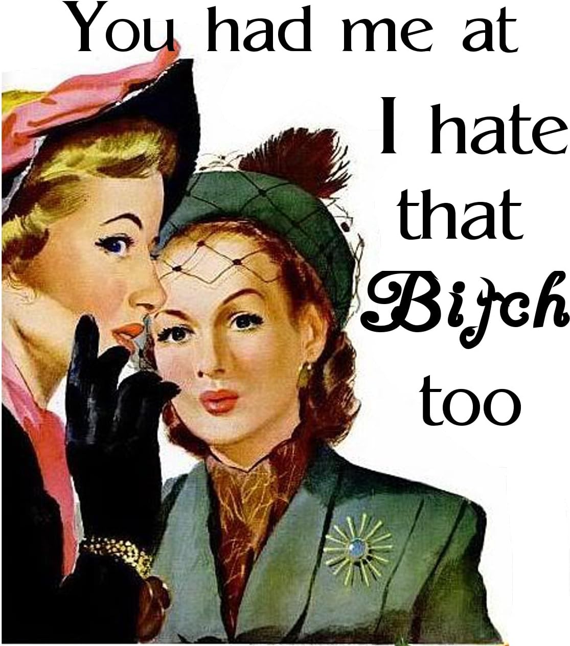 You had me at I Hate That Bitch Too – Imán de nevera de 2 x 3 pulgadas, regalo de imagen vintage, humor divertido retro
