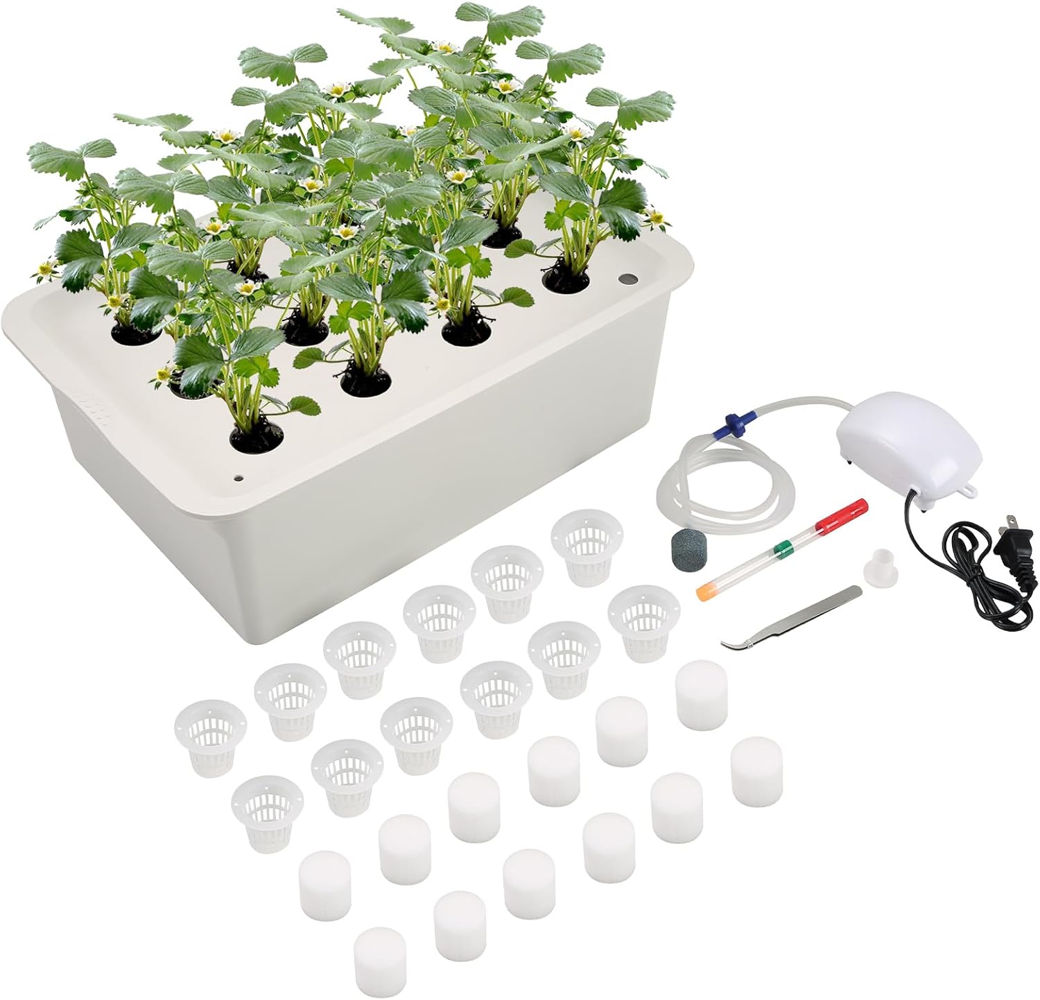 NATGAI Kit de cultivo de sistema hidropónico con bomba de aire, 12 agujeros, caja de cultivo sin suelo, caja de jardín para hierbas, lechuga,