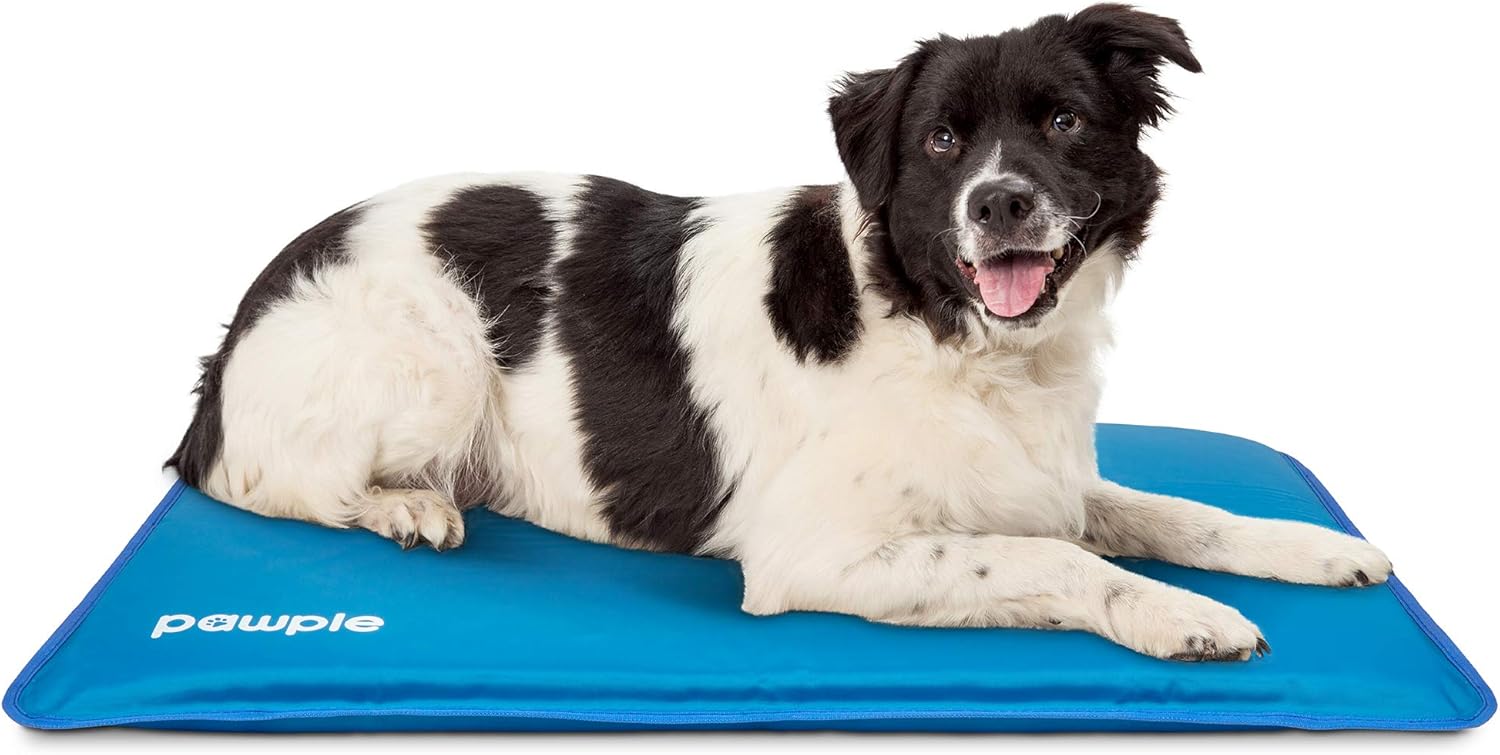 Pawple Alfombrilla de enfriamiento para perros para perreras, jaulas y camas, base de espuma gruesa de 32 x 22 pulgadas