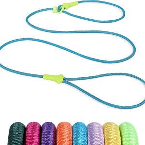 Correa ligera de entrenamiento para perros de 6 pies, correa antideslizante duradera para perros, cuerda clásica para perros, correa antideslizante Correa ligera de entrenamiento para perros de 6 pies, correa antideslizante duradera para perros, cuerda clásica para perros, correa antideslizante