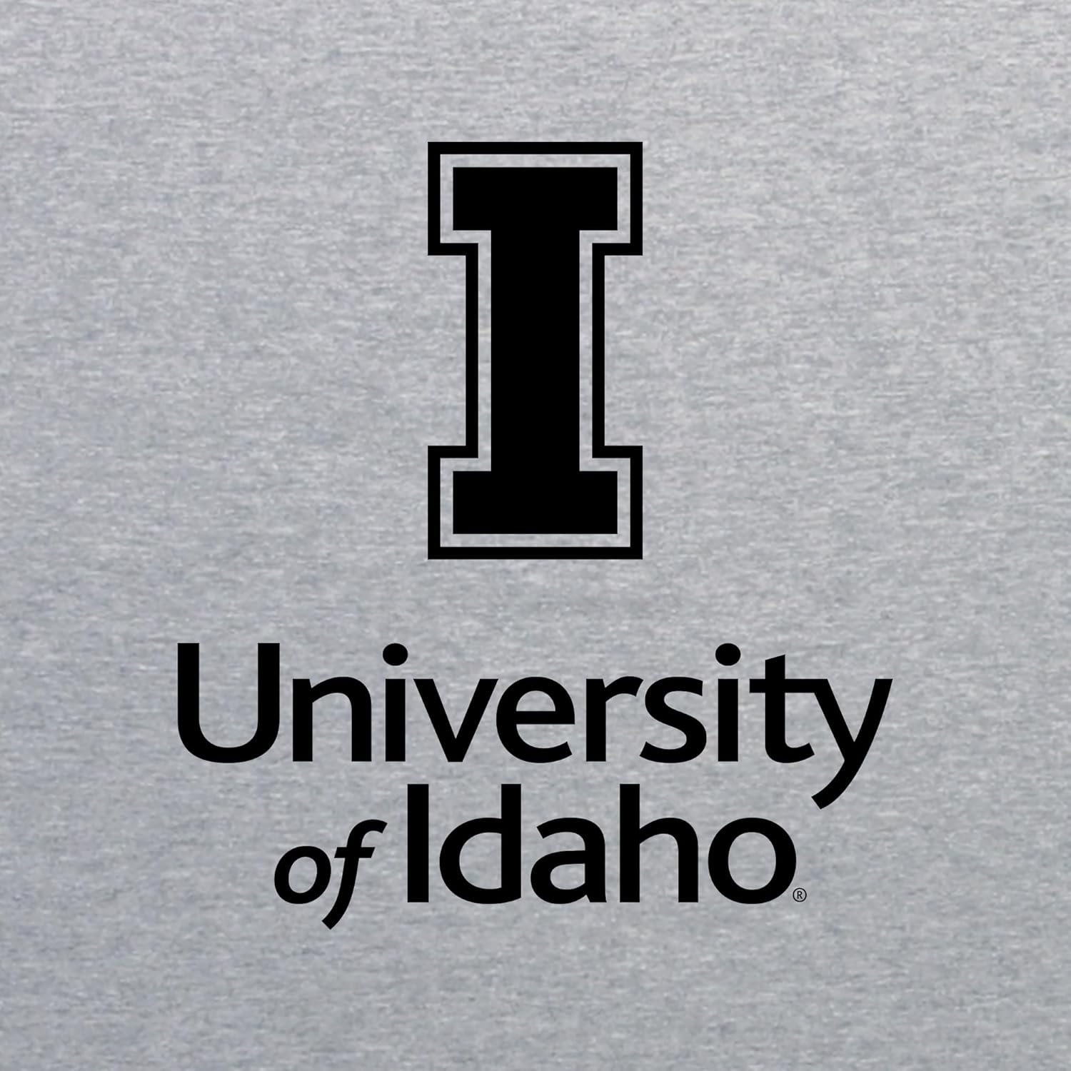 UGP Campus Apparel Logotipo institucional de la NCAA, sudadera con capucha de color del equipo, universidad, universidad