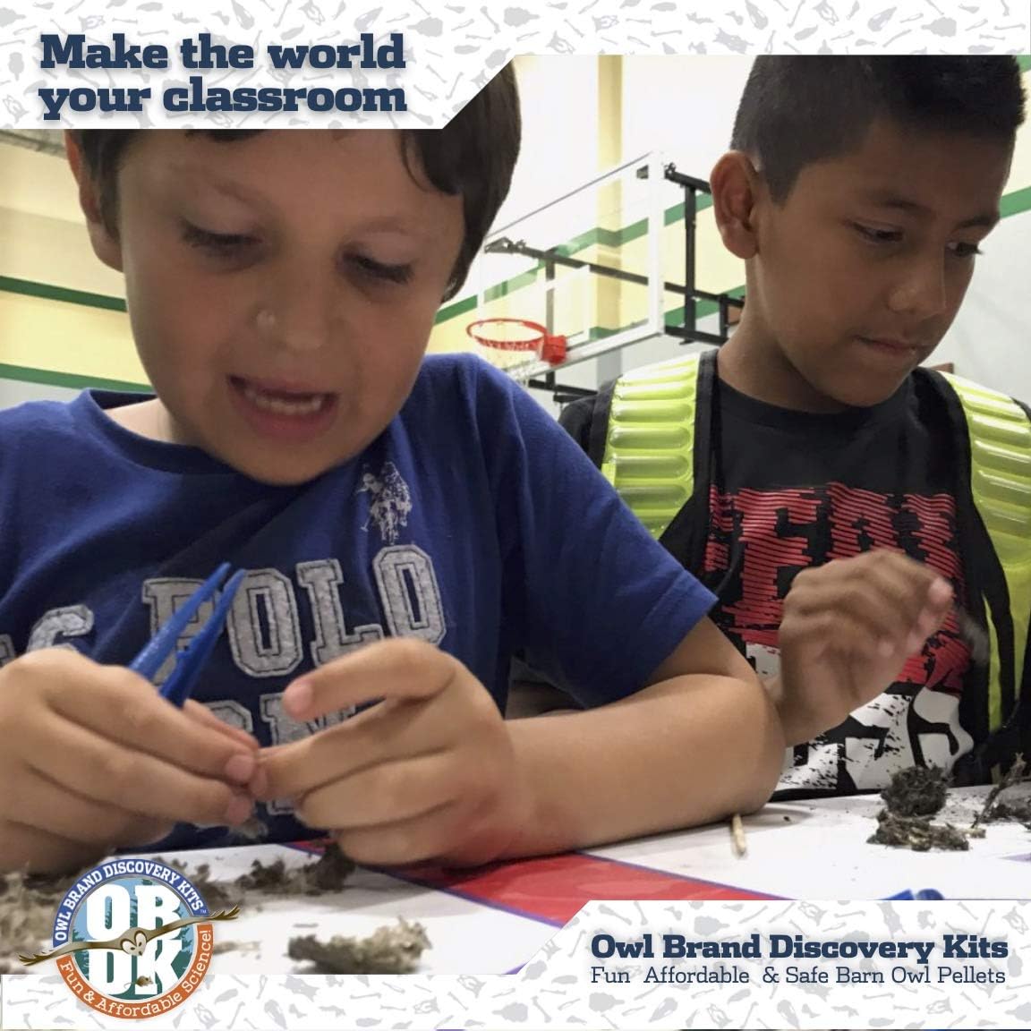 1 paquete Sherlock Bones Owl Pellet Kit + Herramientas + Guía