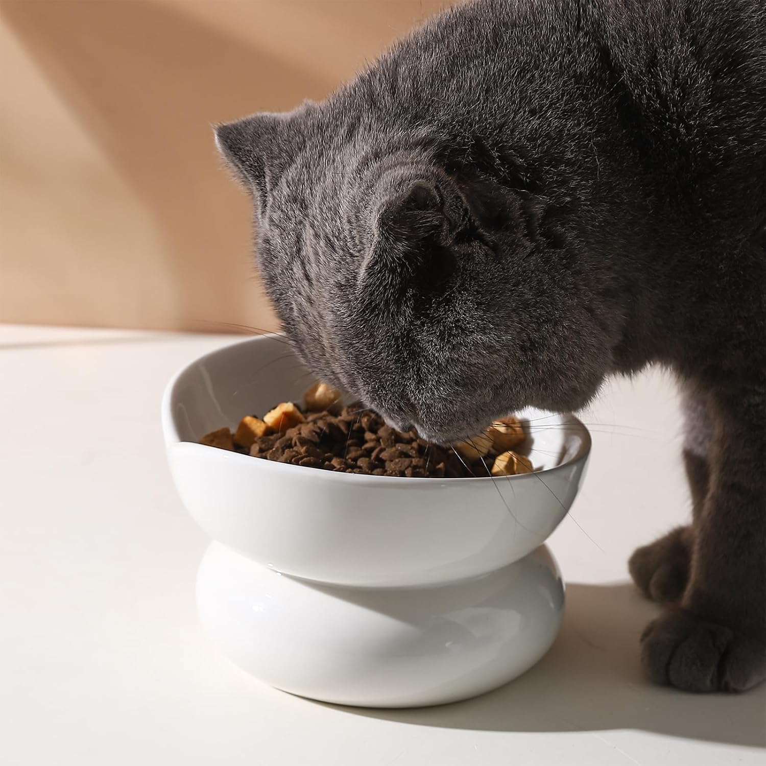WUYIAZHI Lindo cuenco para gatos en forma de corazón, cuenco elevado de cerámica blanca para gatos, pequeño plato elevado para gatos y gatitos de