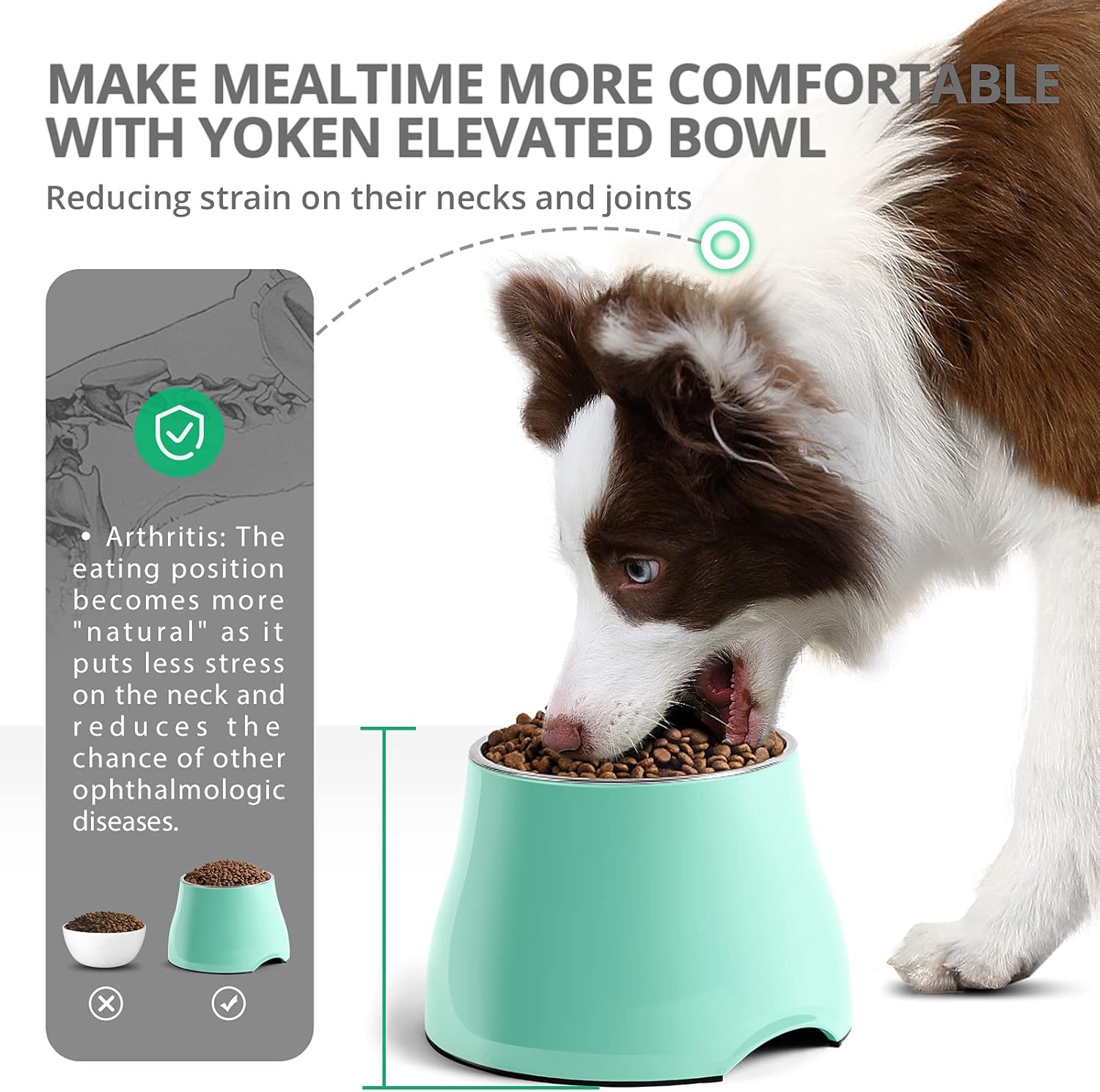 yoken Cuencos elevados para perros, prevención de la enfermedad de las vértebras Cuenco para perros con tazón de acero inoxidable, cuencos de comida