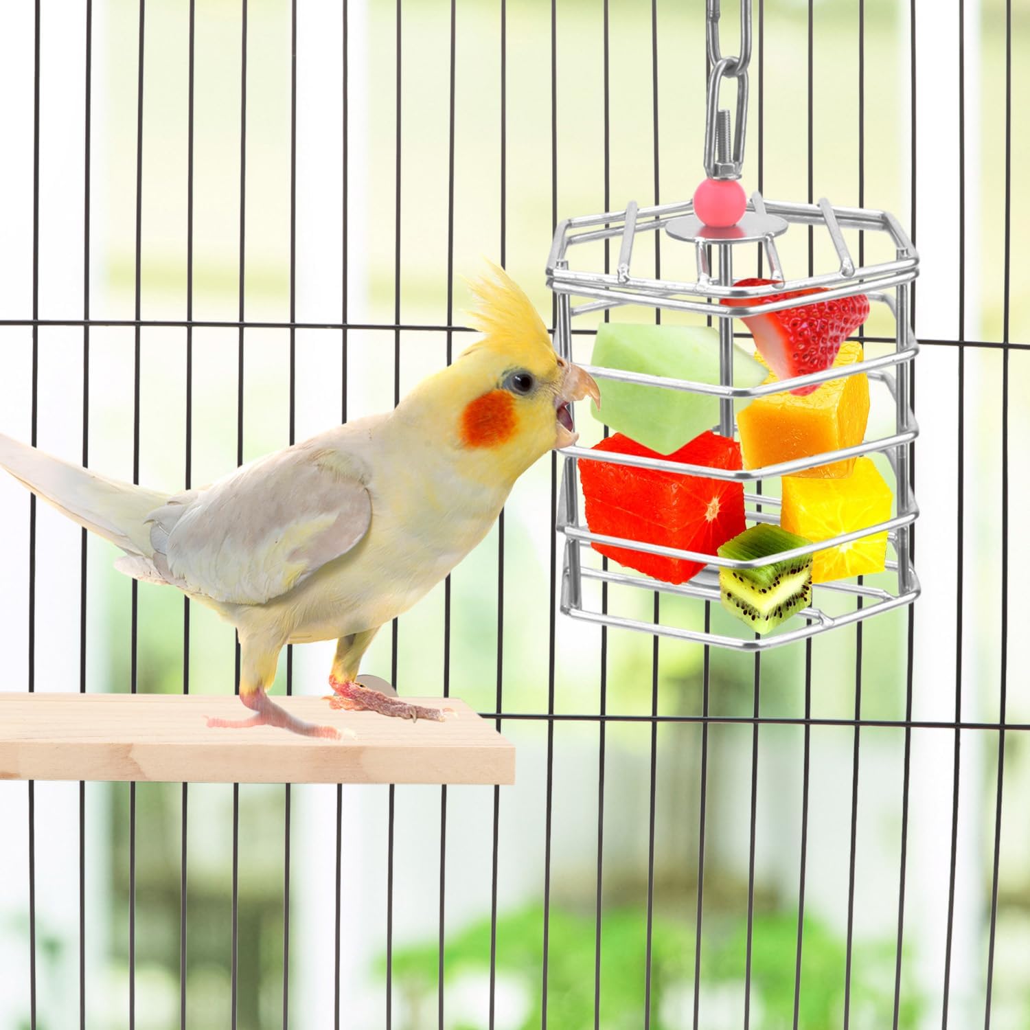 Alimentador de forraje de acero inoxidable para pájaros, caja de alimentación colgante para guacamayo, cacatúa gris africana, cacatúa, jaula de