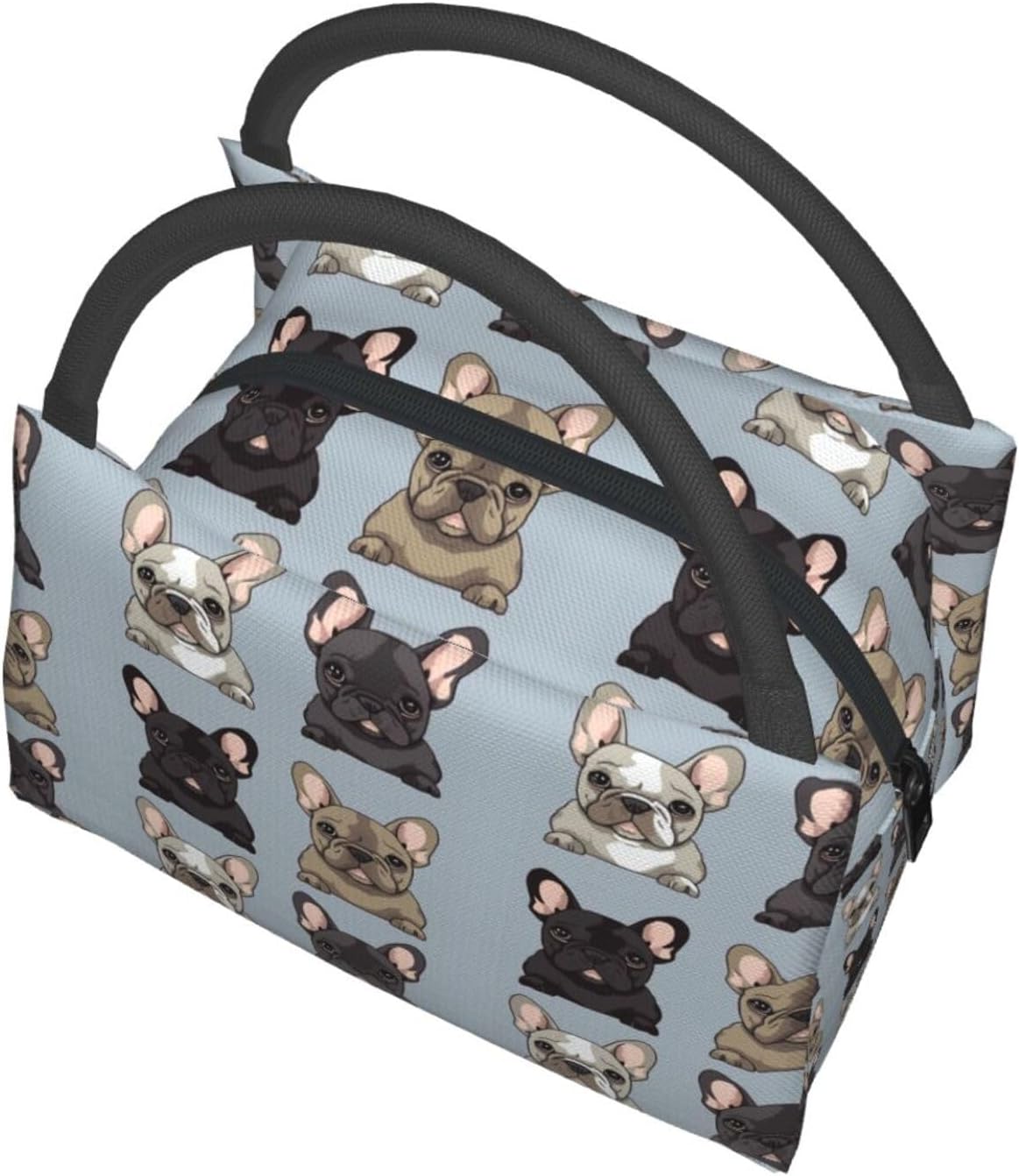 Lonchera para hombres y mujeres, con estampado de bulldog francés, bolsa de almuerzo aislada, reutilizable, portátil