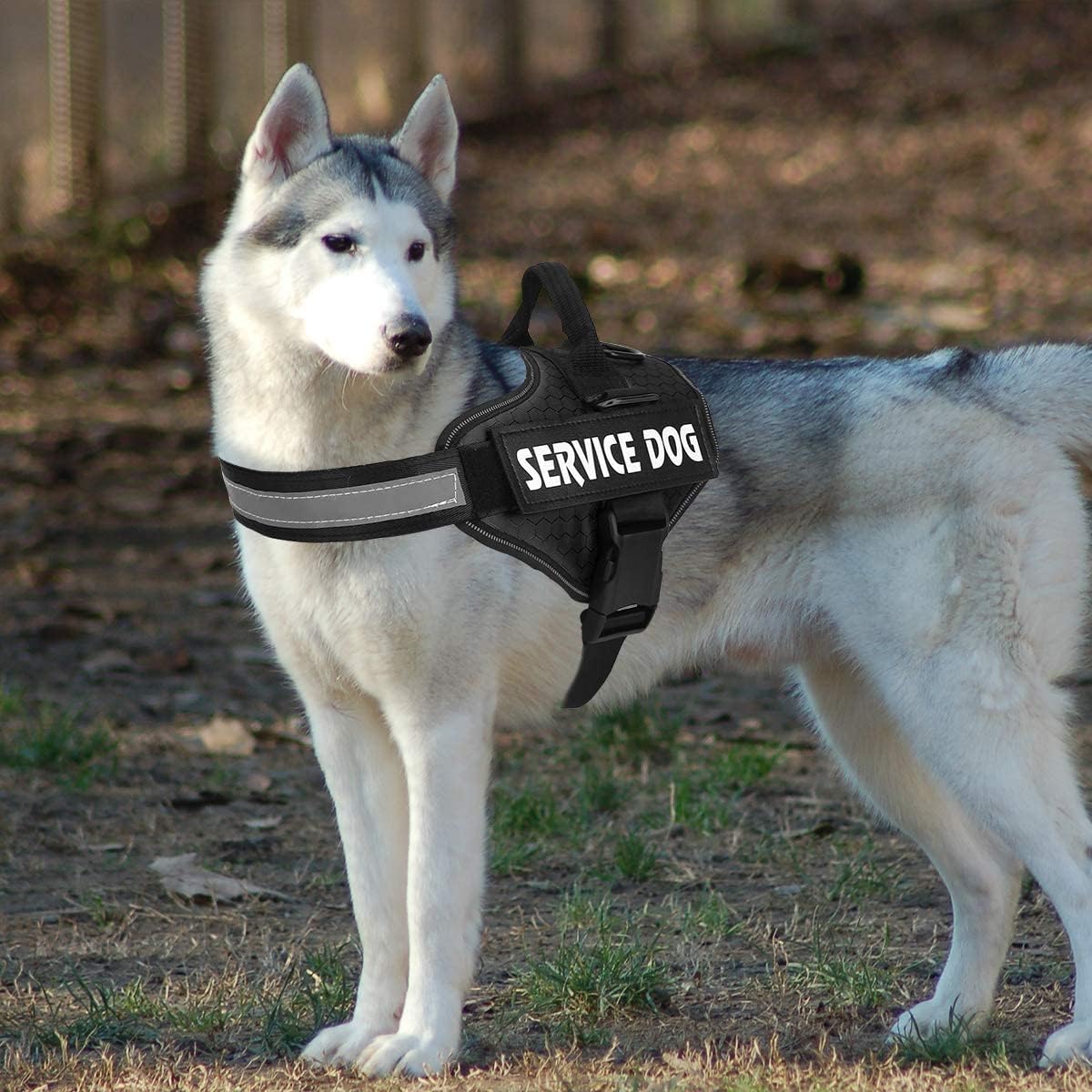 MUMUPET – Arnés para perro guía, fácil de poner y quitar, arnés de chaleco para mascotas, reflectante 3M, transpirable y fácil de ajustar, con mango