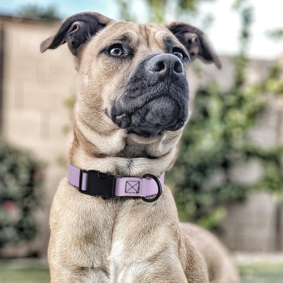 Dogline Biothane – Collar impermeable para perro con hebilla de liberación rápida, resistente cincha de nailon recubierta con resistente y a prueba