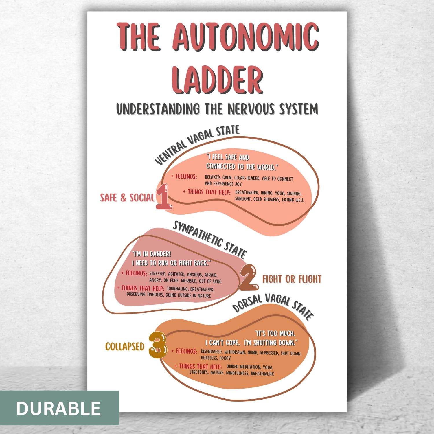 Autonomic Ladder Poster, Boho Mental Health Posters, Counseling Office Printed Wall Decor, Classroom Wall Art – 11×17 in. LAMINATED – No Frame