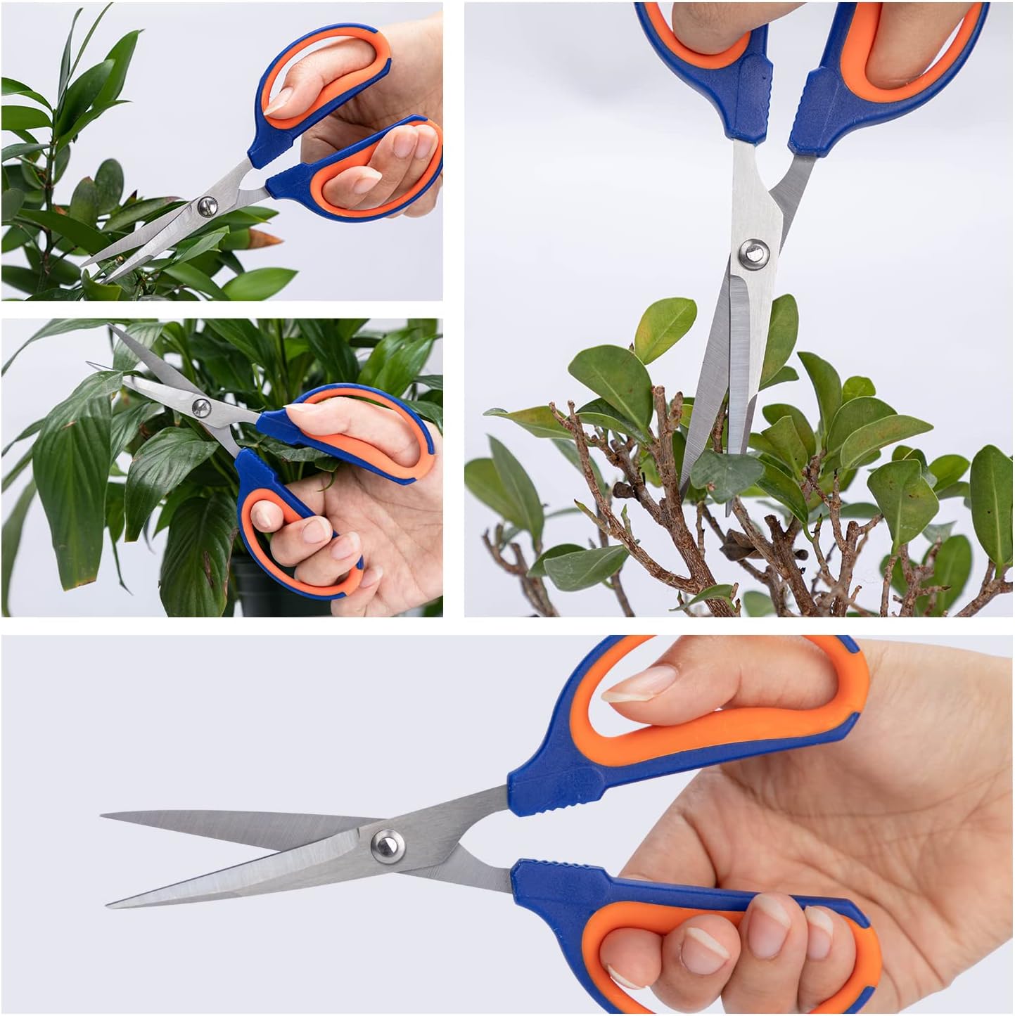 Tijeras de bonsái, cortadores de jardinería, tijeras afiladas para recortar plantas, tijeras de podar flores, herramientas de corte de rosas con
