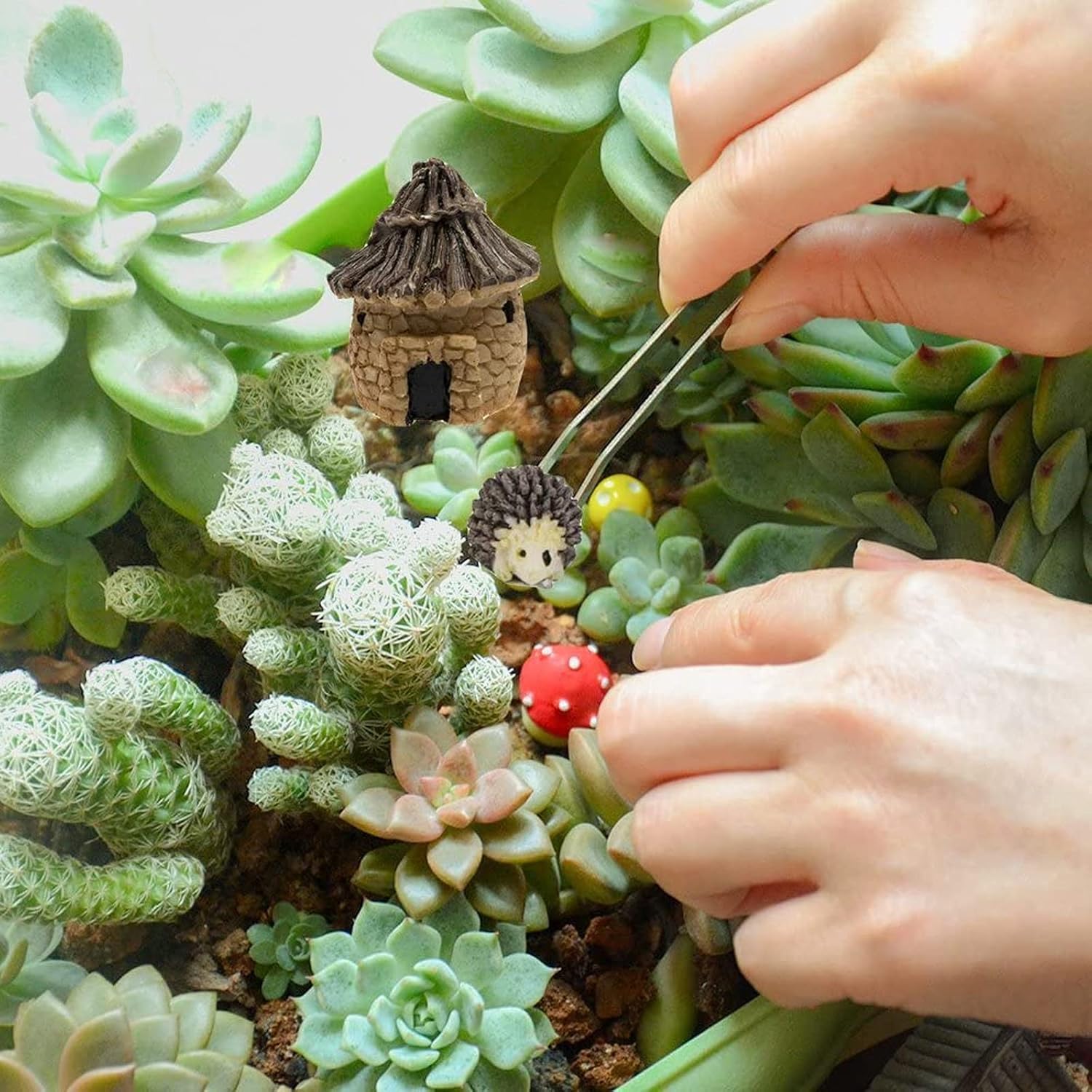 FOMIYES Juego de herramientas de bonsái de 5 piezas de pinzas de jardinería, kit de biselado, mini plantas suculentas, sellos, herramientas de