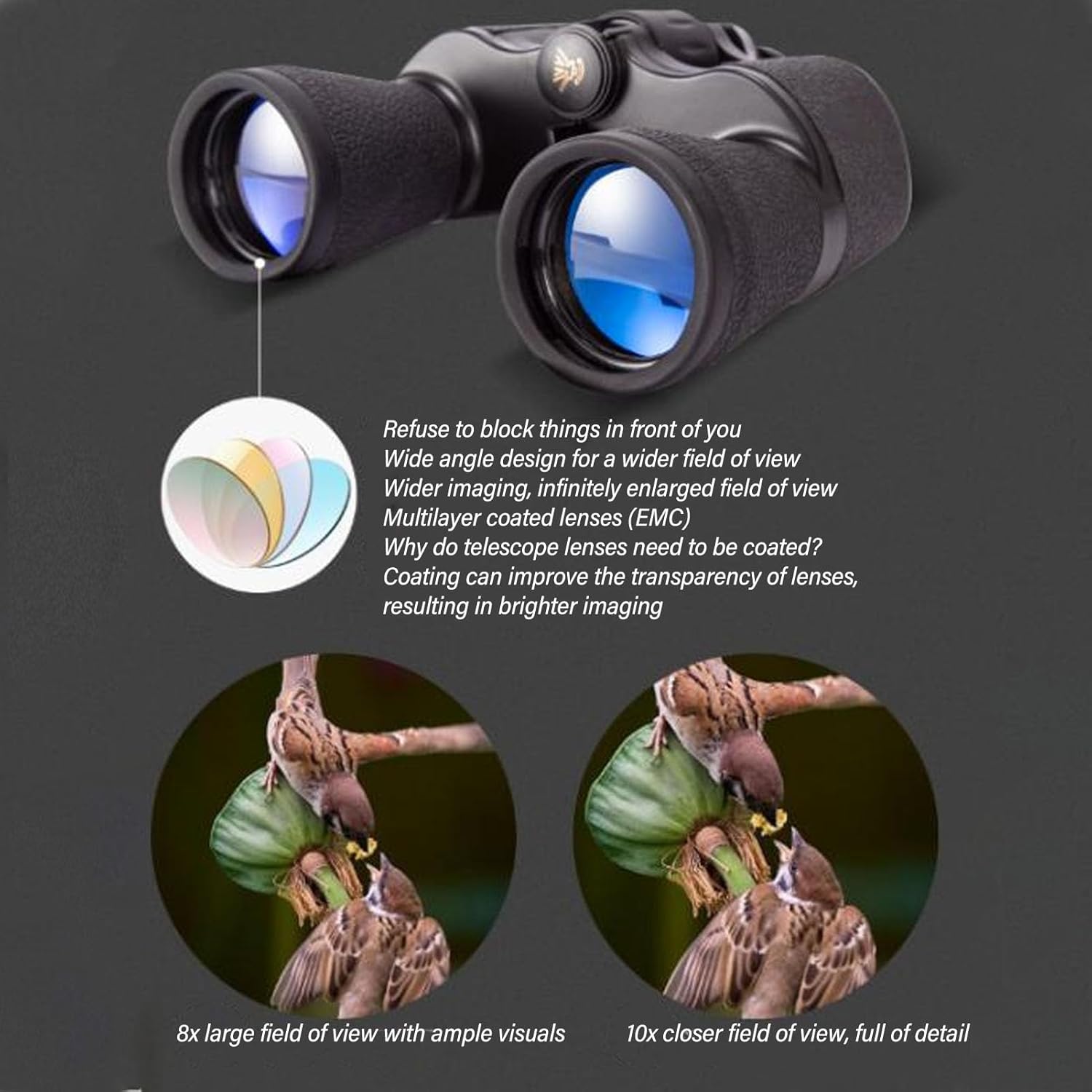 10x Magnification Binoculars with Large Aperture Objective Lens, 10x Telephoto Lens, Multi Layer Coating, for Bird Watching and Long Distance