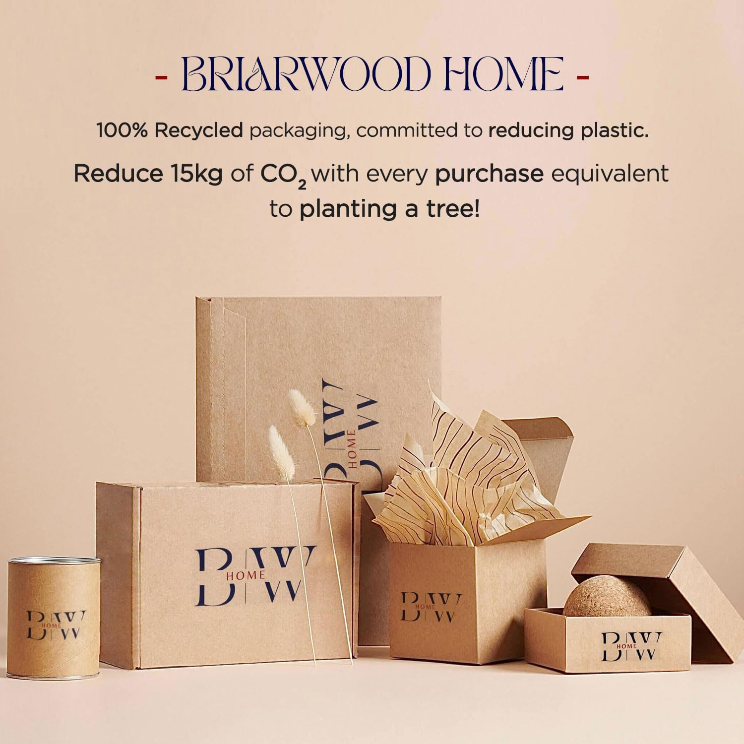 Briarwood Home – Juego de sábanas de franela cepillada estampada, 100% algodón turco, muy suave, cálido y acogedor, bolsillo profundo y