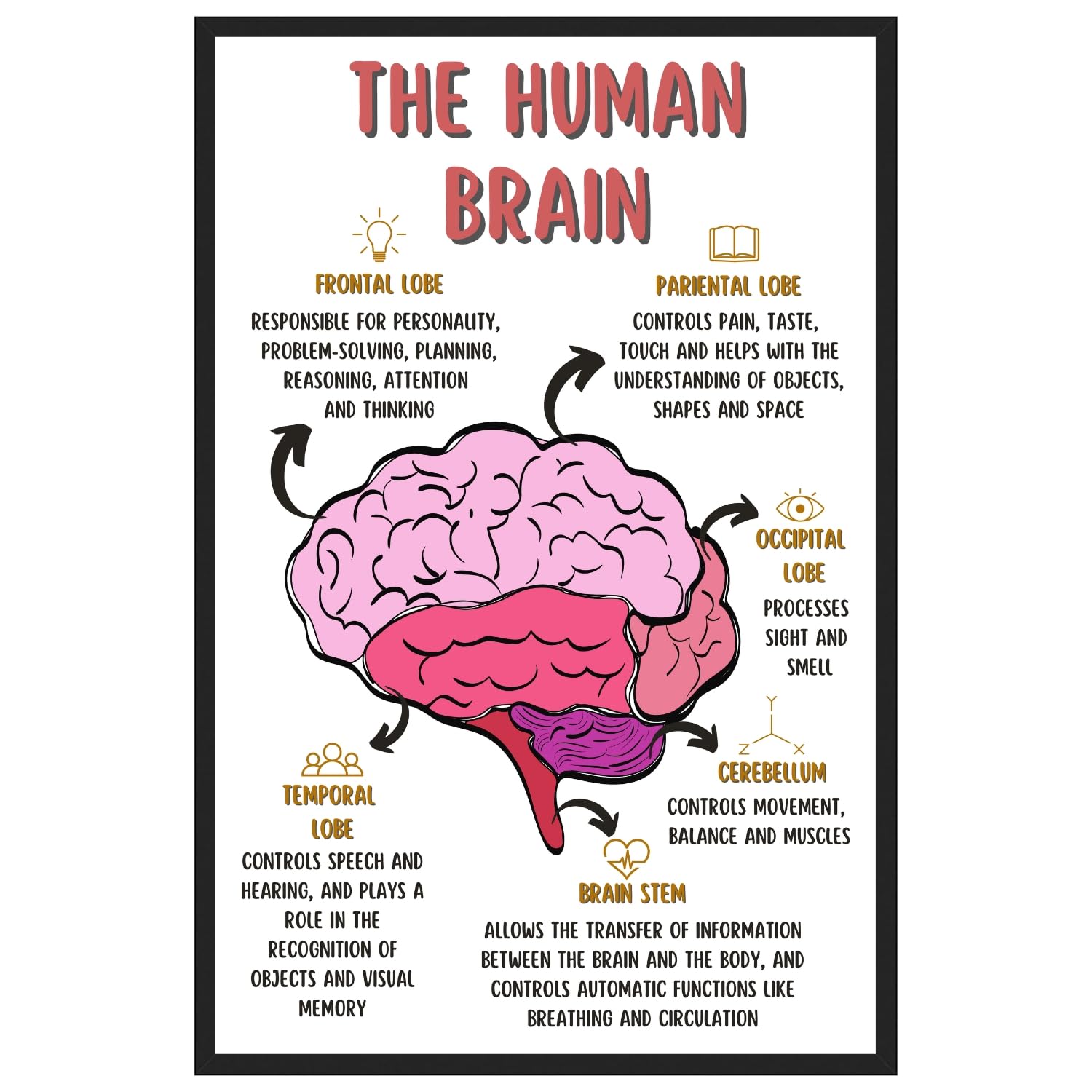 The Human Brain Poster, Mental Health Office Print, Therapy Decor Art, Therapist Psychologist Guidance Counselor Office Decor Wall Art – 11×17 in.