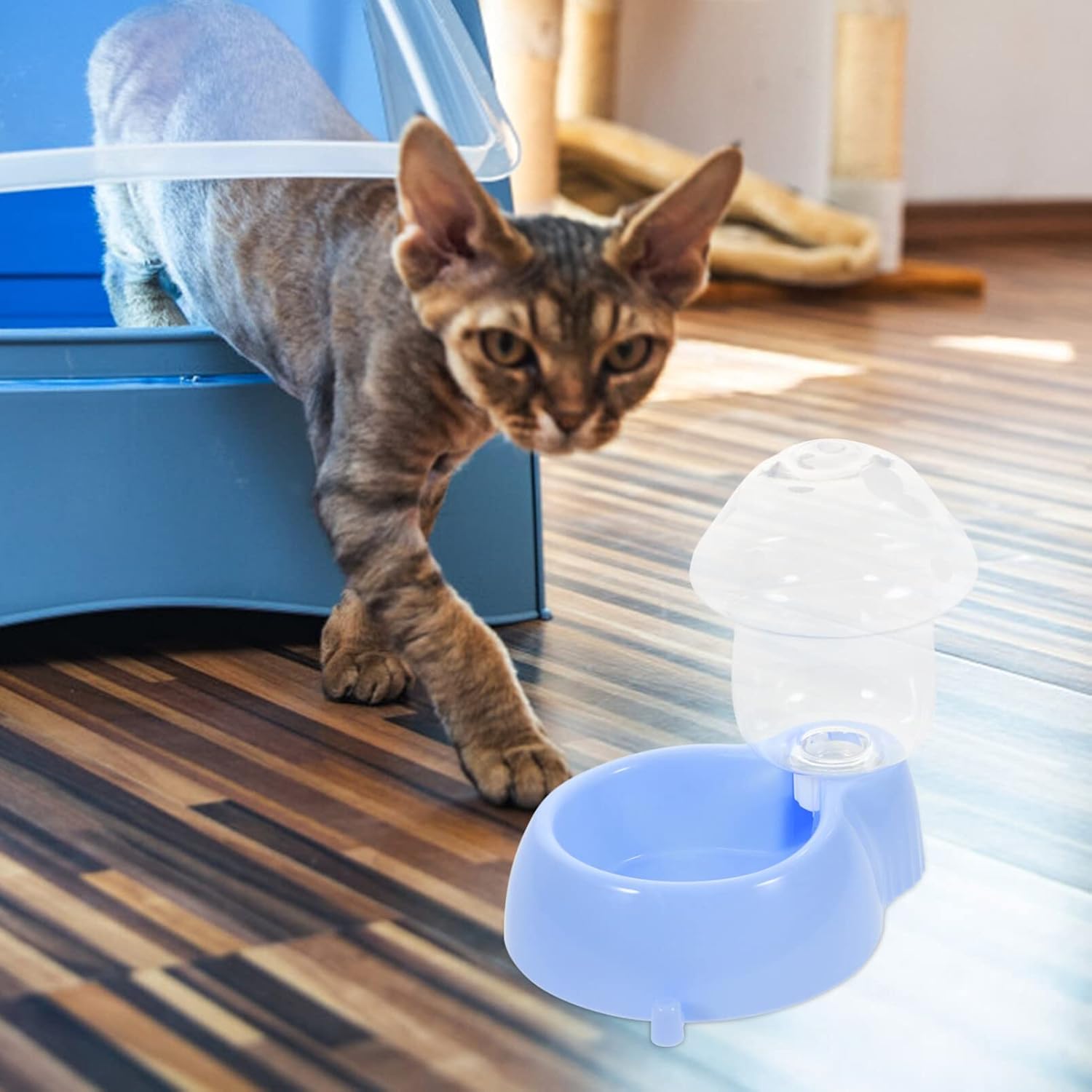 POPETPOP Dispensador automático de gravedad para mascotas, alimentador de agua para perros y gatos, forma de hongo, recipiente para platos de