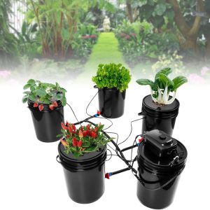JINHZIXIU Hydroponics Systems – Sistema de cubo hidropónico de cultivo de agua profunda de 5 galones, kit de sistema de cultivo hidropónico, kit de JINHZIXIU Hydroponics Systems – Sistema de cubo hidropónico de cultivo de agua profunda de 5 galones, kit de sistema de cultivo hidropónico, kit de