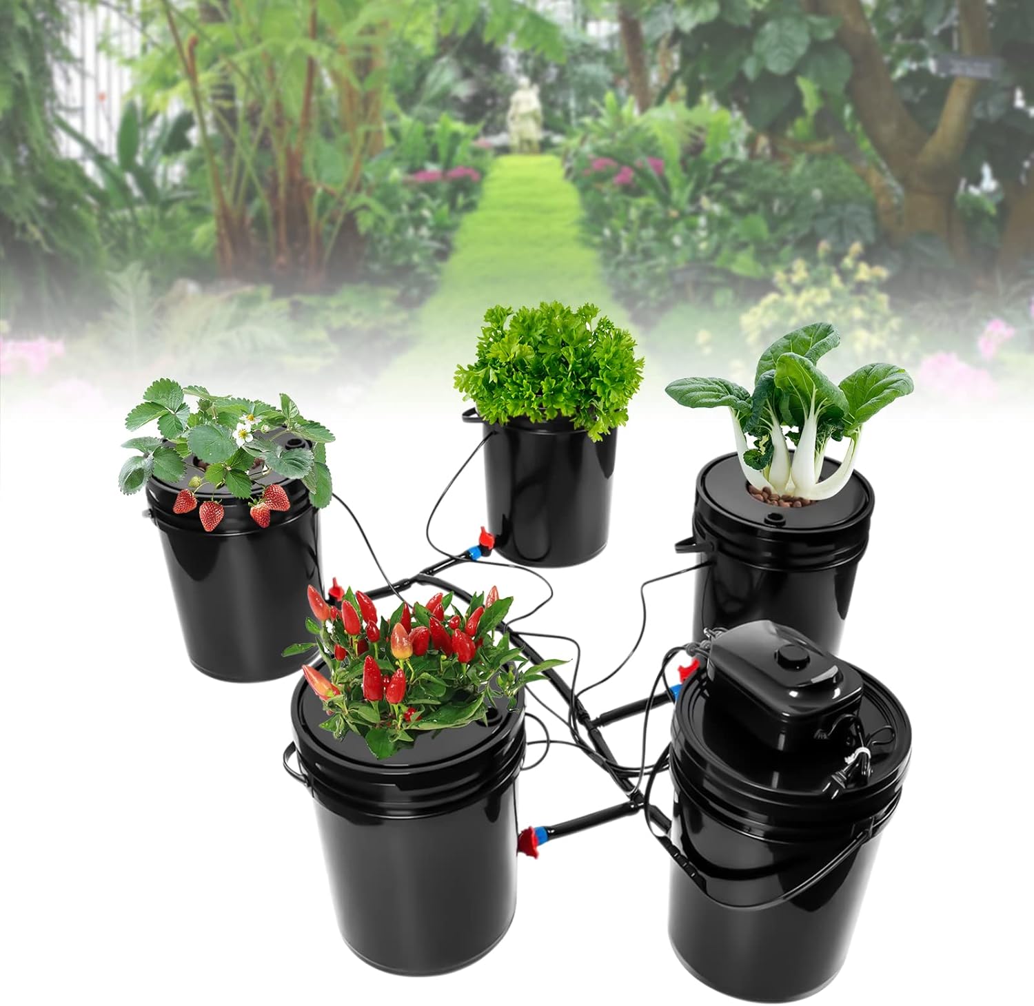 JINHZIXIU Hydroponics Systems – Sistema de cubo hidropónico de cultivo de agua profunda de 5 galones, kit de sistema de cultivo hidropónico, kit de