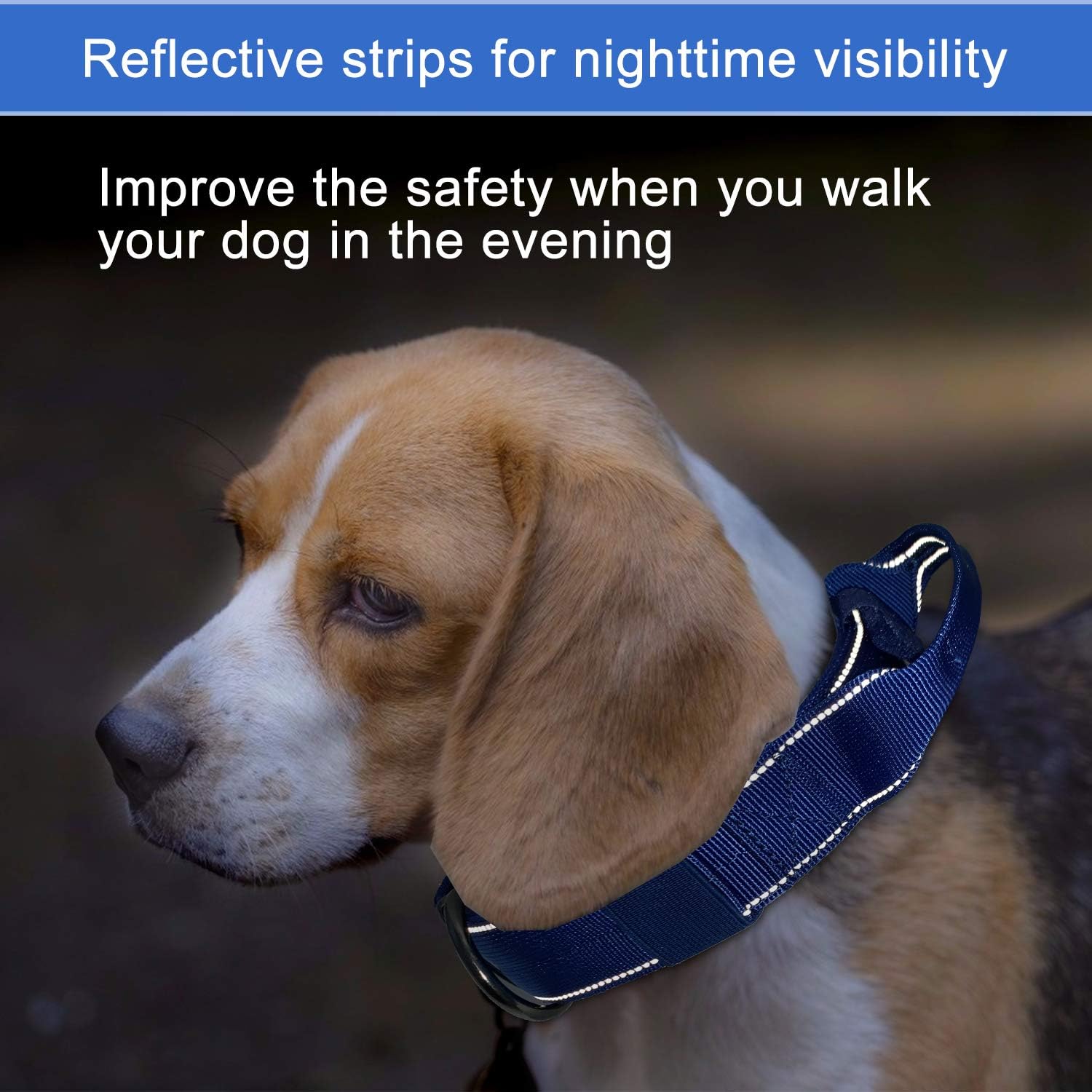 Collar reflectante para perro, collar táctico para perro, resistente con asa de control y hebilla de metal para entrenamiento de perros (M, azul)