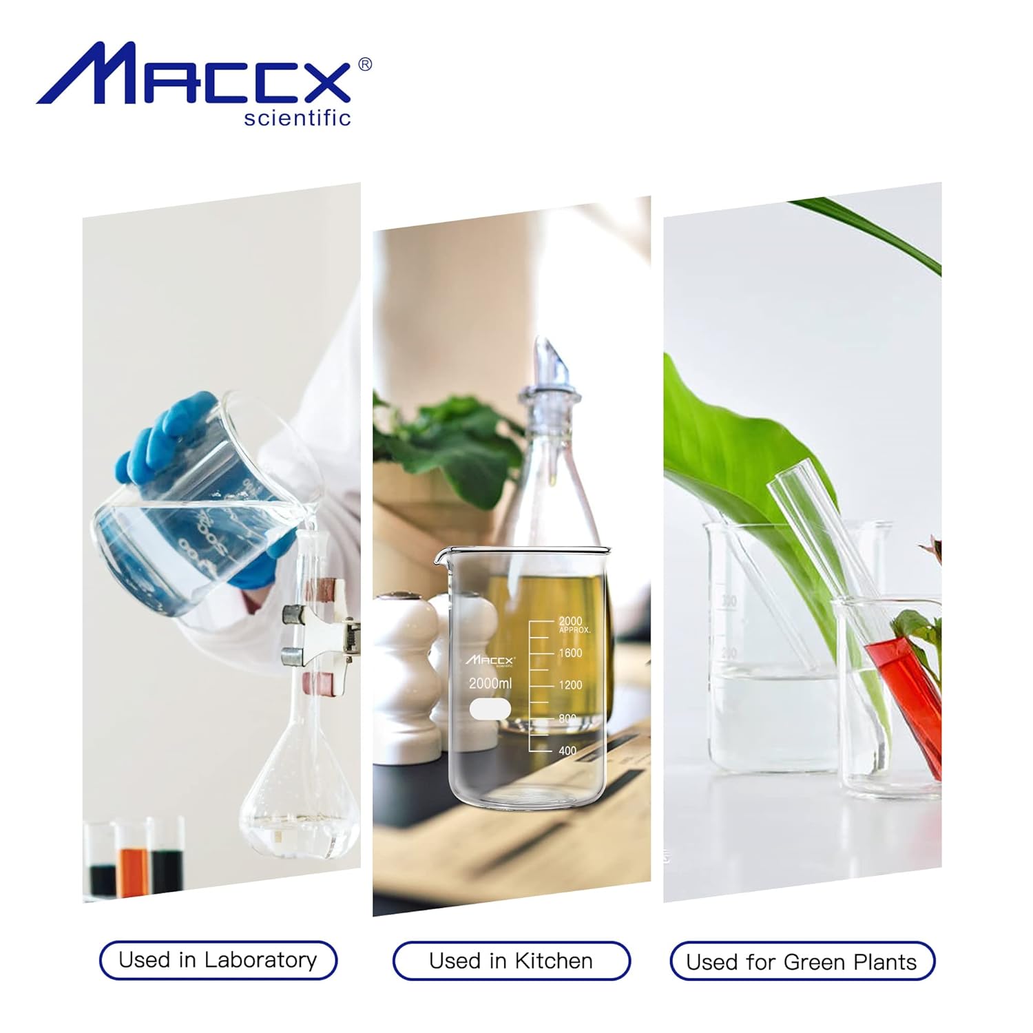 BKL500-006 – Vaso de vidrio resistente de 16.9 onzas (16.9 fl oz), forma baja de borosilicato 3.3 con graduación impresa, paquete de 6 unidades