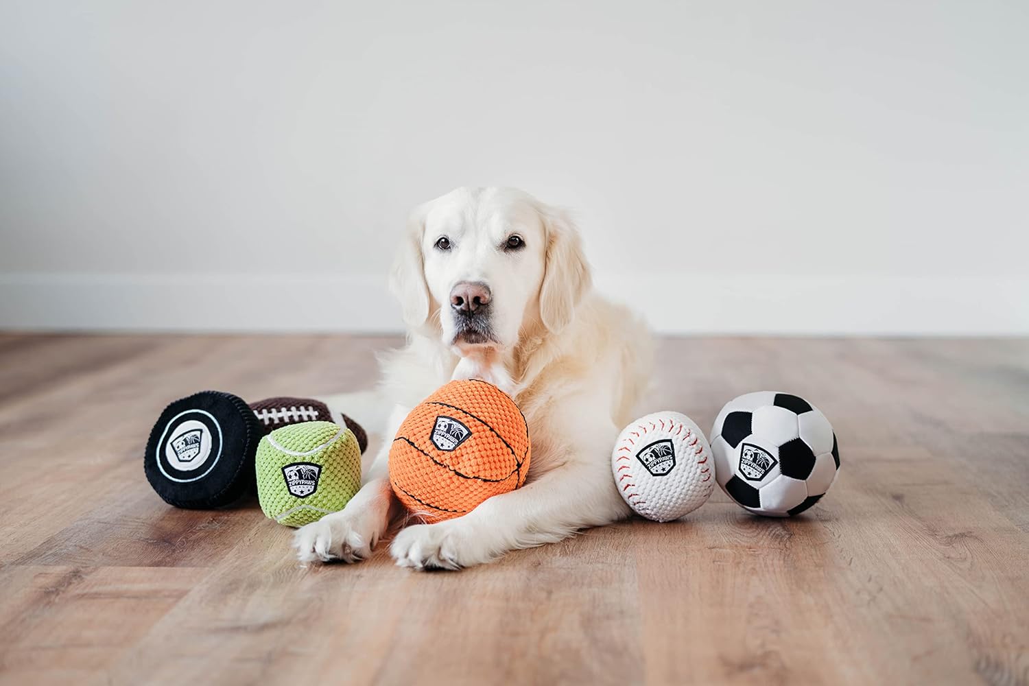 ZippyPaws SportsBallz – Juguete de baloncesto de felpa para perros, pelotas chirriantes suaves para perros, para interiores y exteriores, juguetes