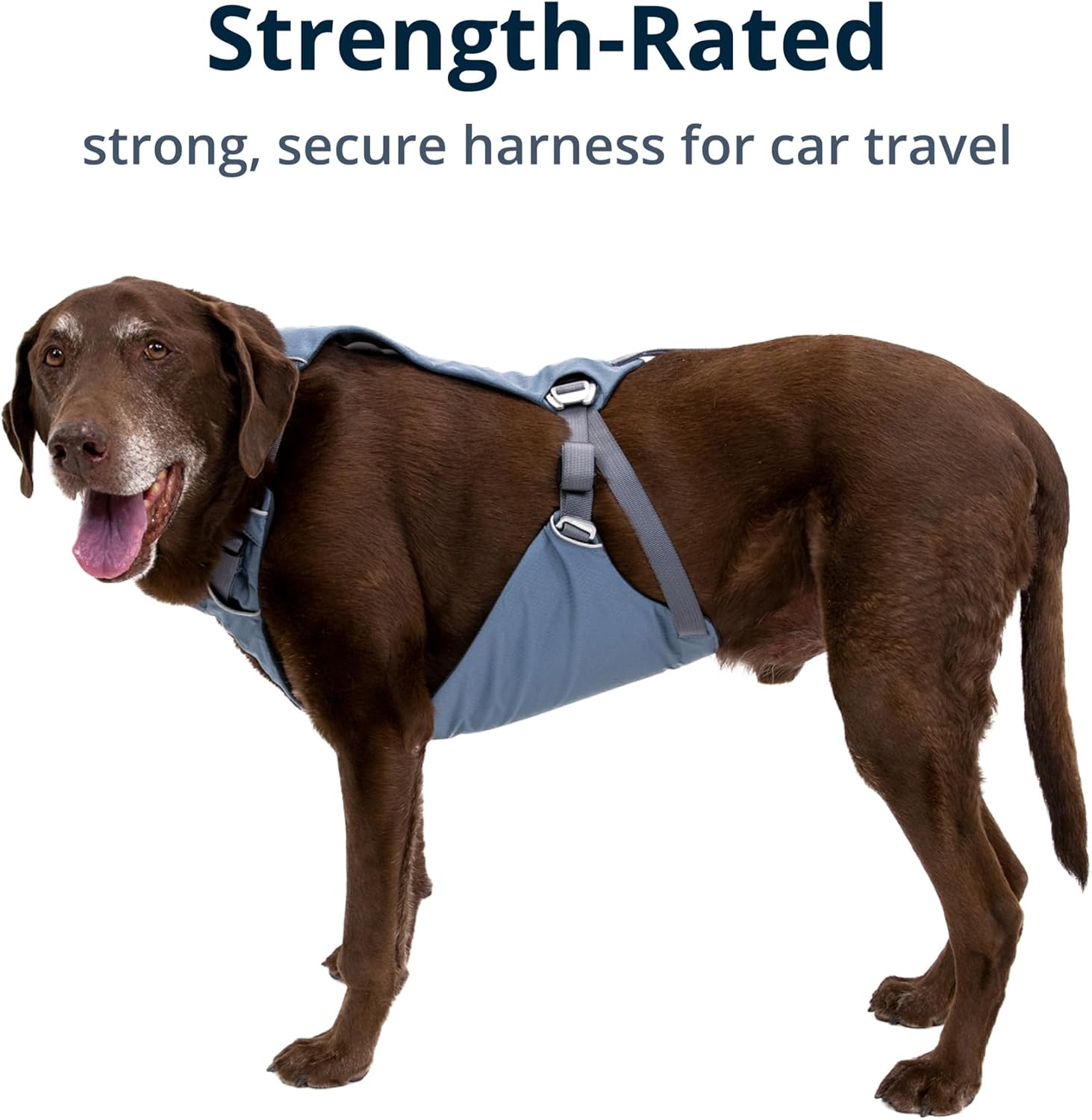 Ruffwear, Load Up – Arnés para perro, arnés de seguridad para automóvil con clasificación de resistencia con accesorio universal para cinturón de