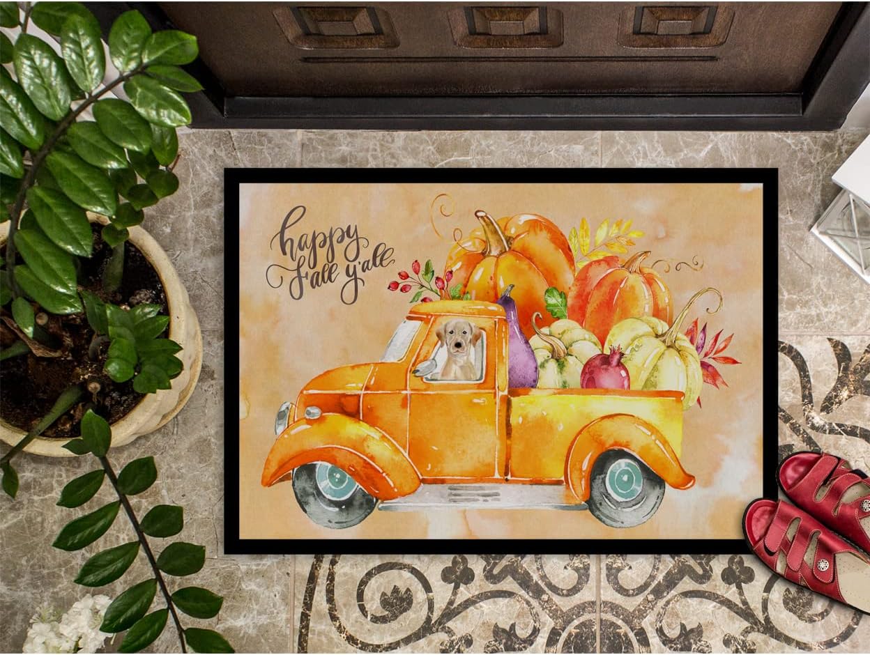 Caroline’s Treasures CK2651JMAT – Tapete de bienvenida para interiores o exteriores, de 24 x 36 pulgadas, 36 pulgadas de largo x 24 pulgadas de