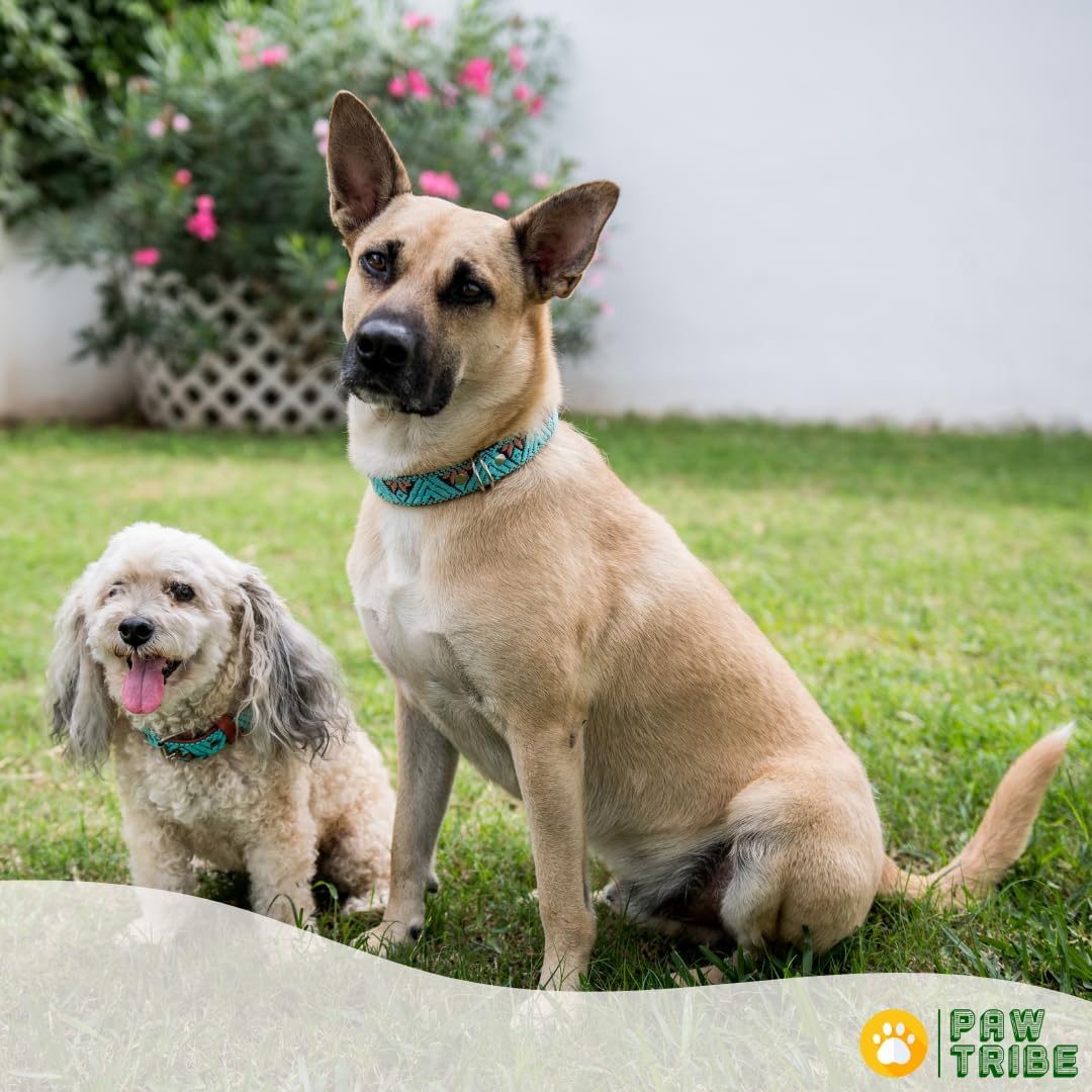 Collar occidental para perros, diseño bordado de cuero para perros pequeños, medianos y grandes, diseño azteca del suroeste para perros machos y
