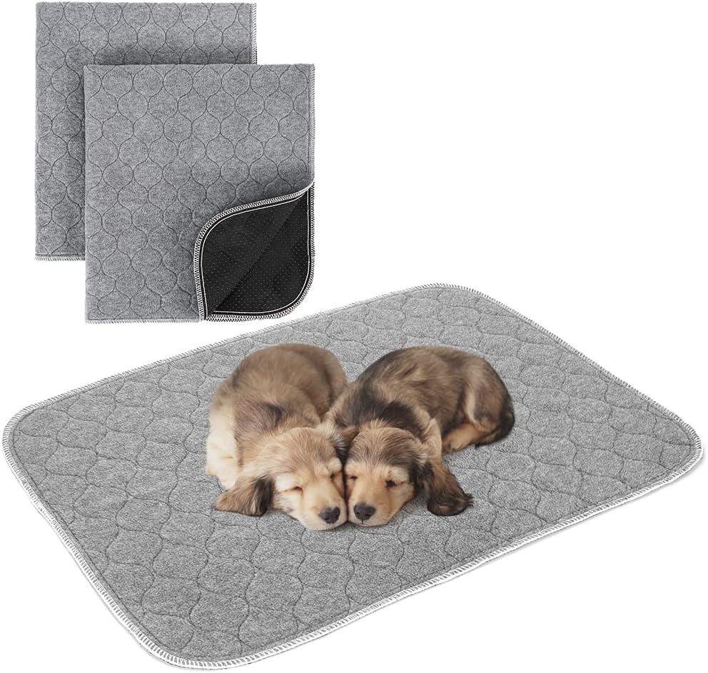ARGOPET Paquete de 2 almohadillas reutilizables para cachorros, 24 x 18 pulgadas, de rápida absorción, a prueba de fugas, lavables, protectores de