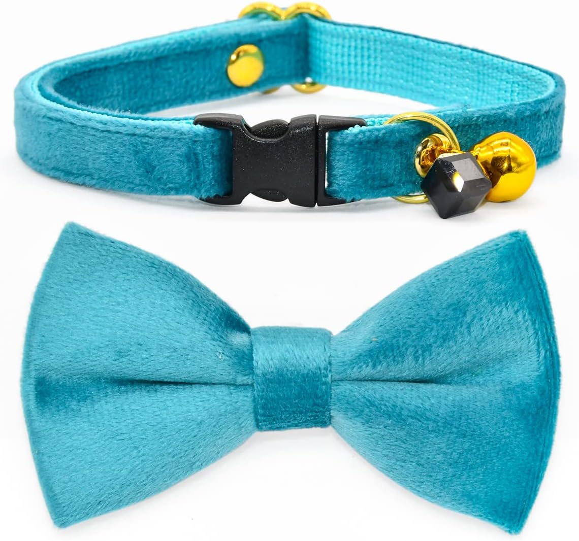 Collares para gatos, collar de terciopelo turquesa para gato, collar de gato con dijes y campana, collar de seguridad para gatos