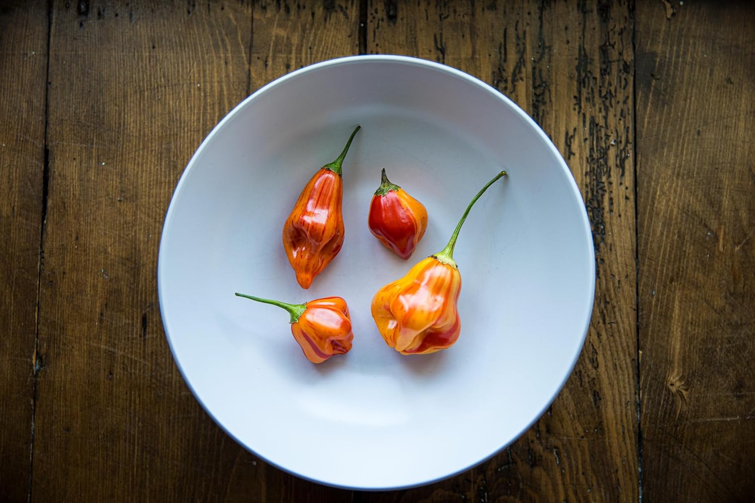 Aji Mandarina Tigre Rayas Rayado Tocino Heirloom Pepper Paquete de semillas prémium