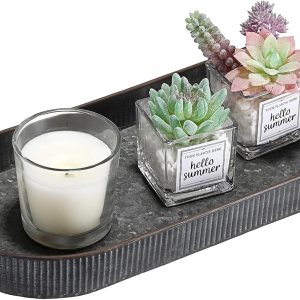 Hipiwe Bandeja ovalada de hierro de metal galvanizado con asa, bandeja de almacenamiento de estilo industrial, bandeja decorativa rústica para mesa Hipiwe Bandeja ovalada de hierro de metal galvanizado con asa, bandeja de almacenamiento de estilo industrial, bandeja decorativa rústica para mesa