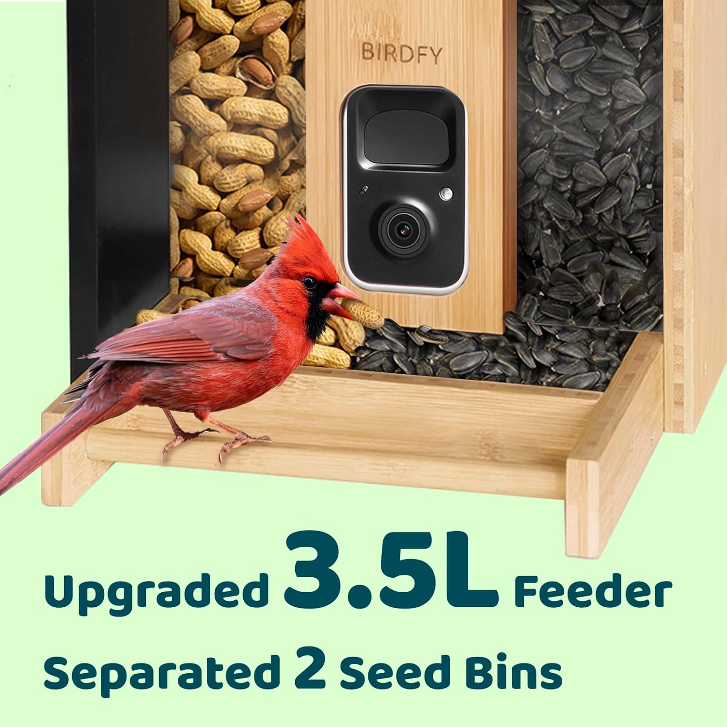 NETVUE Birdfy – Comedero inteligente mejorado para pájaros con cámara alimentado por energía solar, captura automáticamente cada pájaro y notifica a