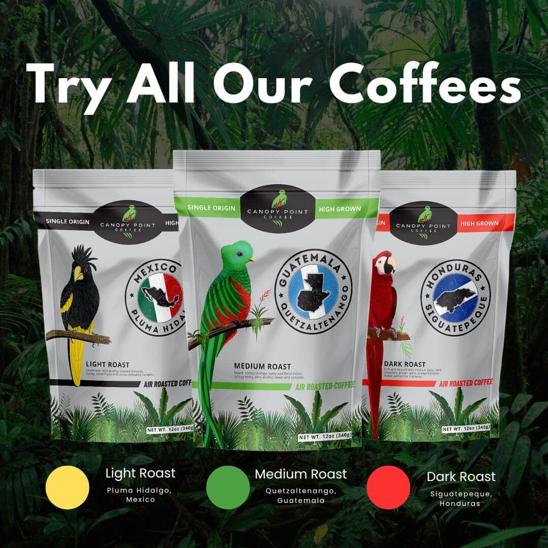 Canopy Point Coffee – Guatemala tostado medio – Recién molido, origen único, café tostado al aire especial en lotes pequeños, tostado medio gourmet,