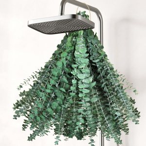 Paquete de 32 piezas de eucalipto seco para ducha, plantas de ducha grandes de 17 pulgadas de eucalipto, hojas de eucalipto reales frescas para Paquete de 32 piezas de eucalipto seco para ducha, plantas de ducha grandes de 17 pulgadas de eucalipto, hojas de eucalipto reales frescas para