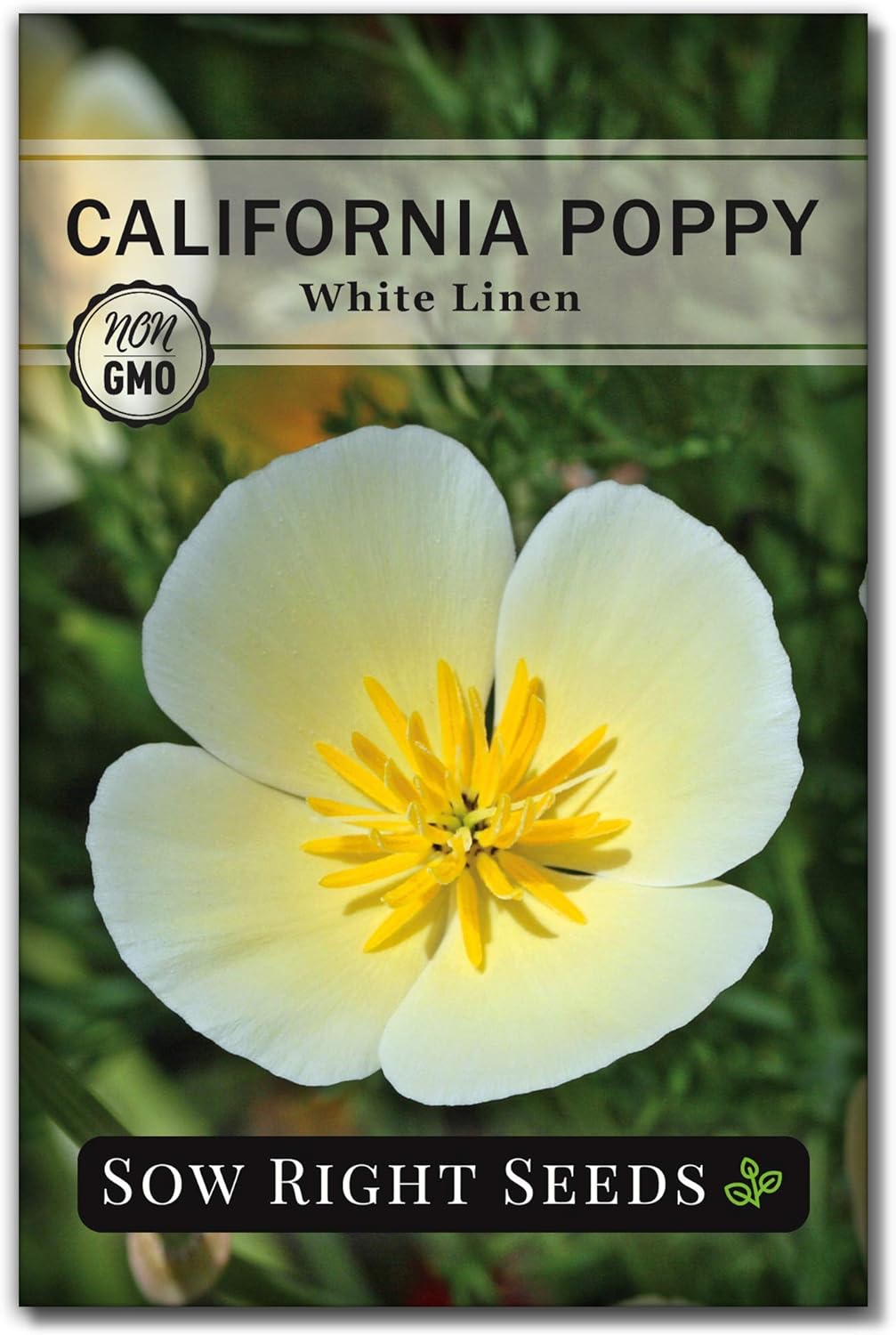 Sow Right Seeds – Semillas de amapola de California de lino blanco para plantar – Paquete de reliquia sin OMG con instrucciones para cultivar un