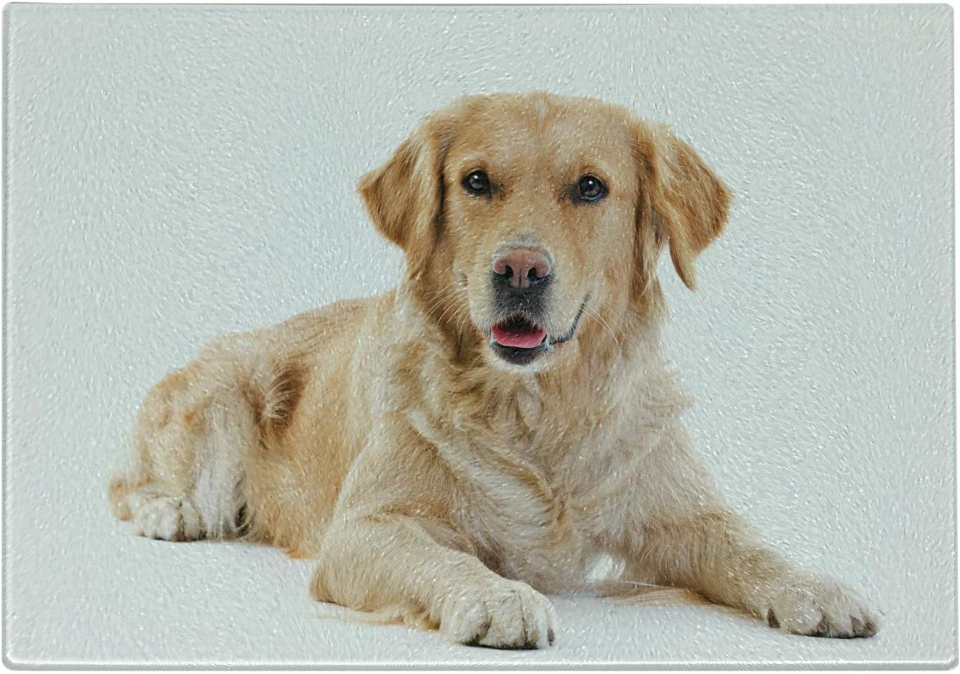 Ambesonne Golden Retriever Cutting Board, Young Pedigree Puppy Laying over White Background Dog, Decorative Tempered Glass Cutting and Serving