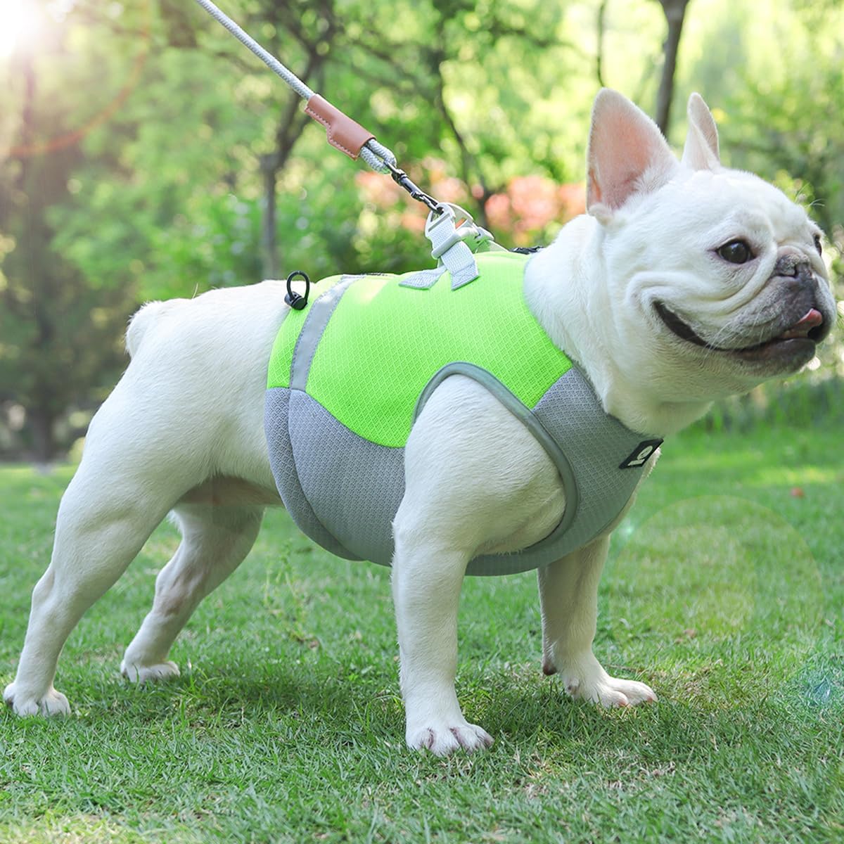 Arnés de chaleco refrescante para perros con tira reflectante, arnés de ajuste, adecuado para perros pequeños, medianos y grandes, transpirable y