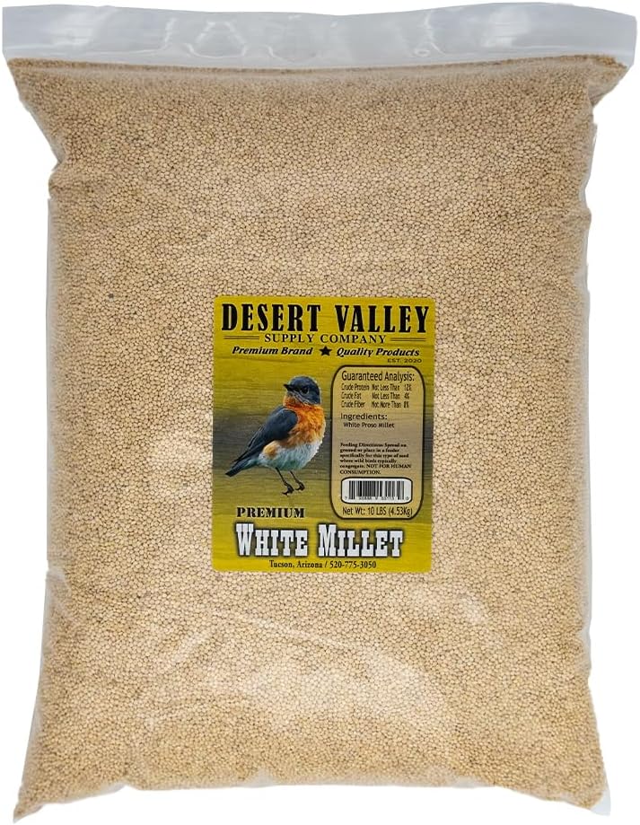 Semillas de proso de mijo blanco de primera calidad, alimento para aves silvestres, cardenal, pinzón y más (10 libras)