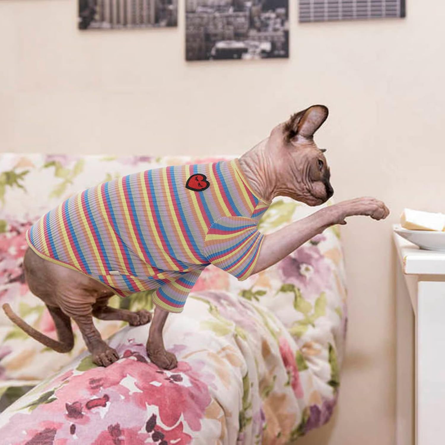 Bonaweite Sphynx Camisa de gatos sin pelo, Cornish Rex Kitten Rainbow Stripe Camisetas con mangas, suéter de cuello alto transpirable para gatos,