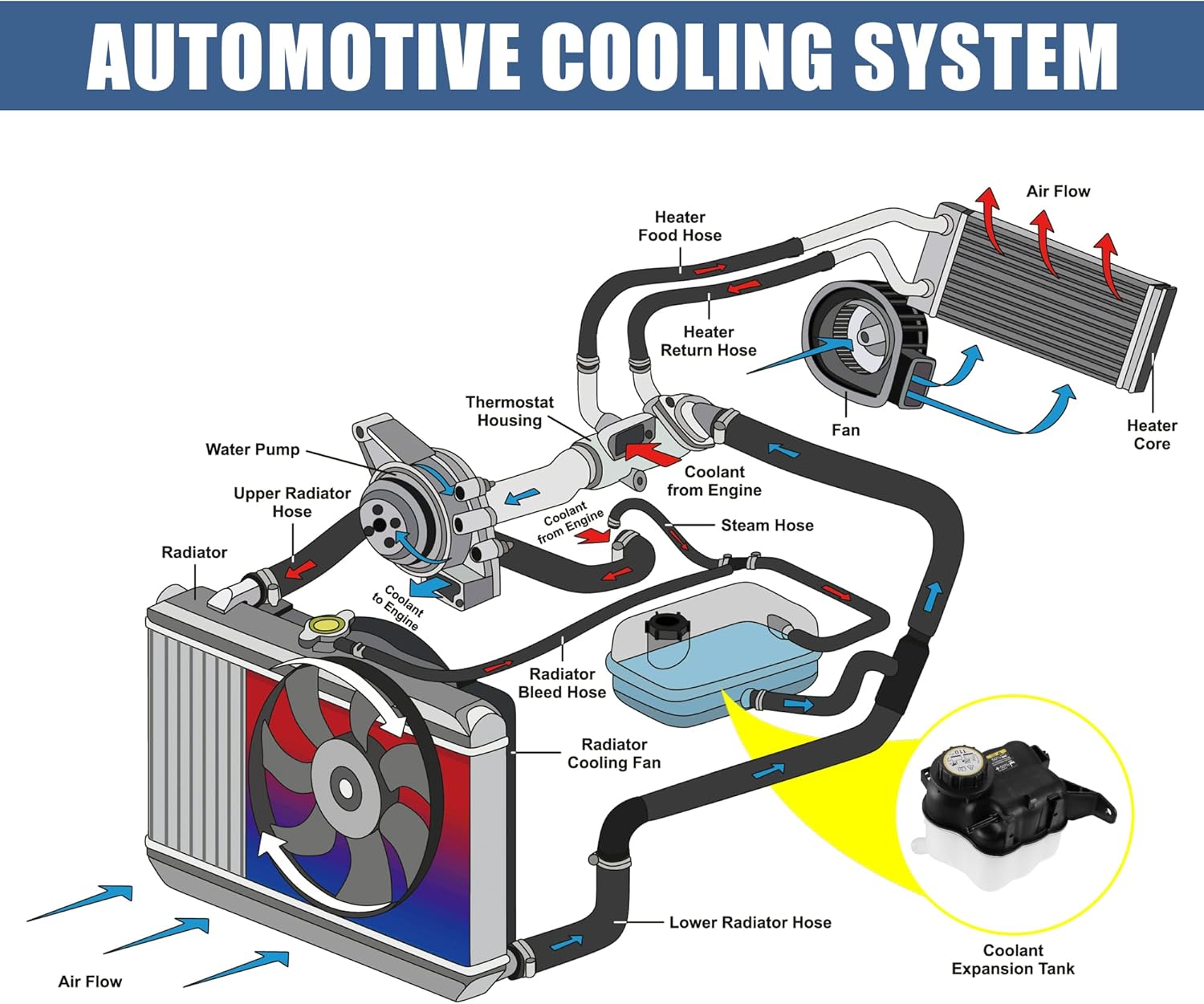 X AUTOHAUX 1 juego de depósito de tanque de botella de desbordamiento de líquido refrigerante con tapa para Ford Explorer 2011-2019 Taurus 2008-2019
