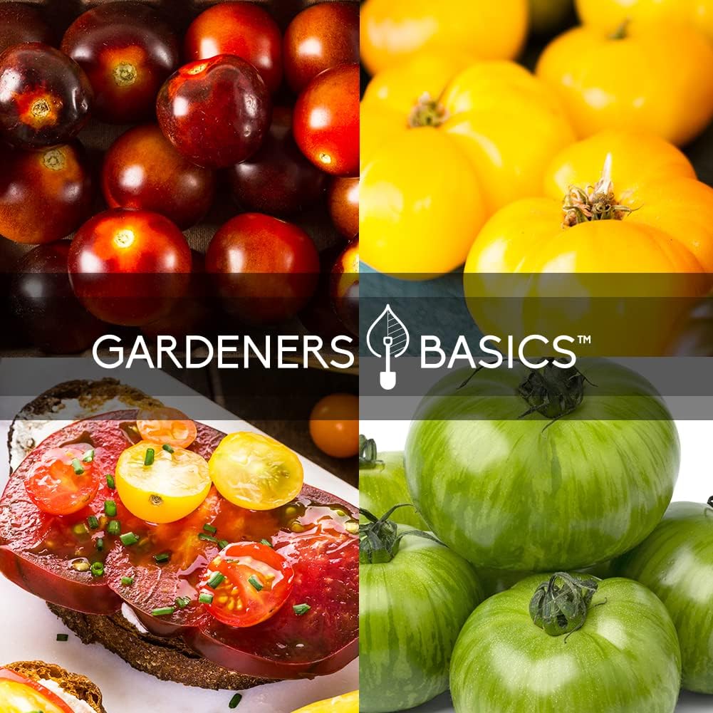 Gardeners Basics, 5 semillas de tomate raras para plantar, paquete variado de semillas de tomate reliquia, púrpura Cherokee, Krim negro, piña, cebra