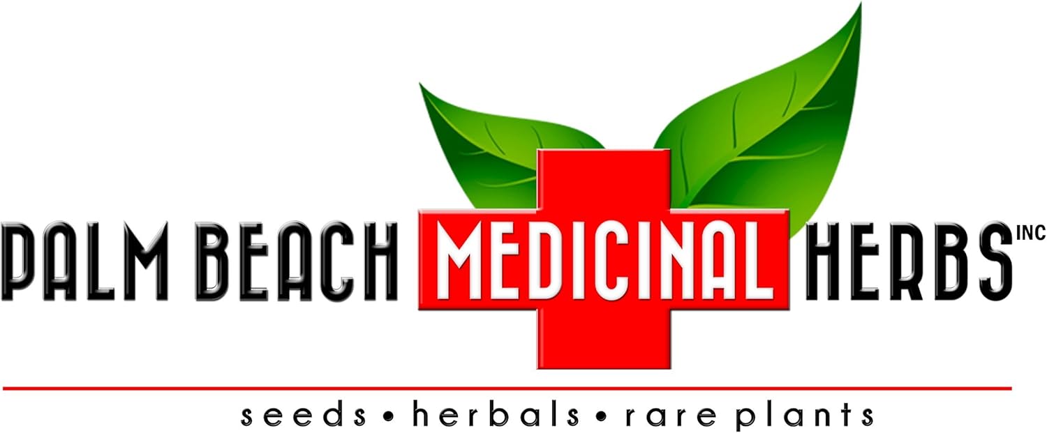 Semillas de plátano salino (Plantago eriopoda) Paquete de 20 Semillas